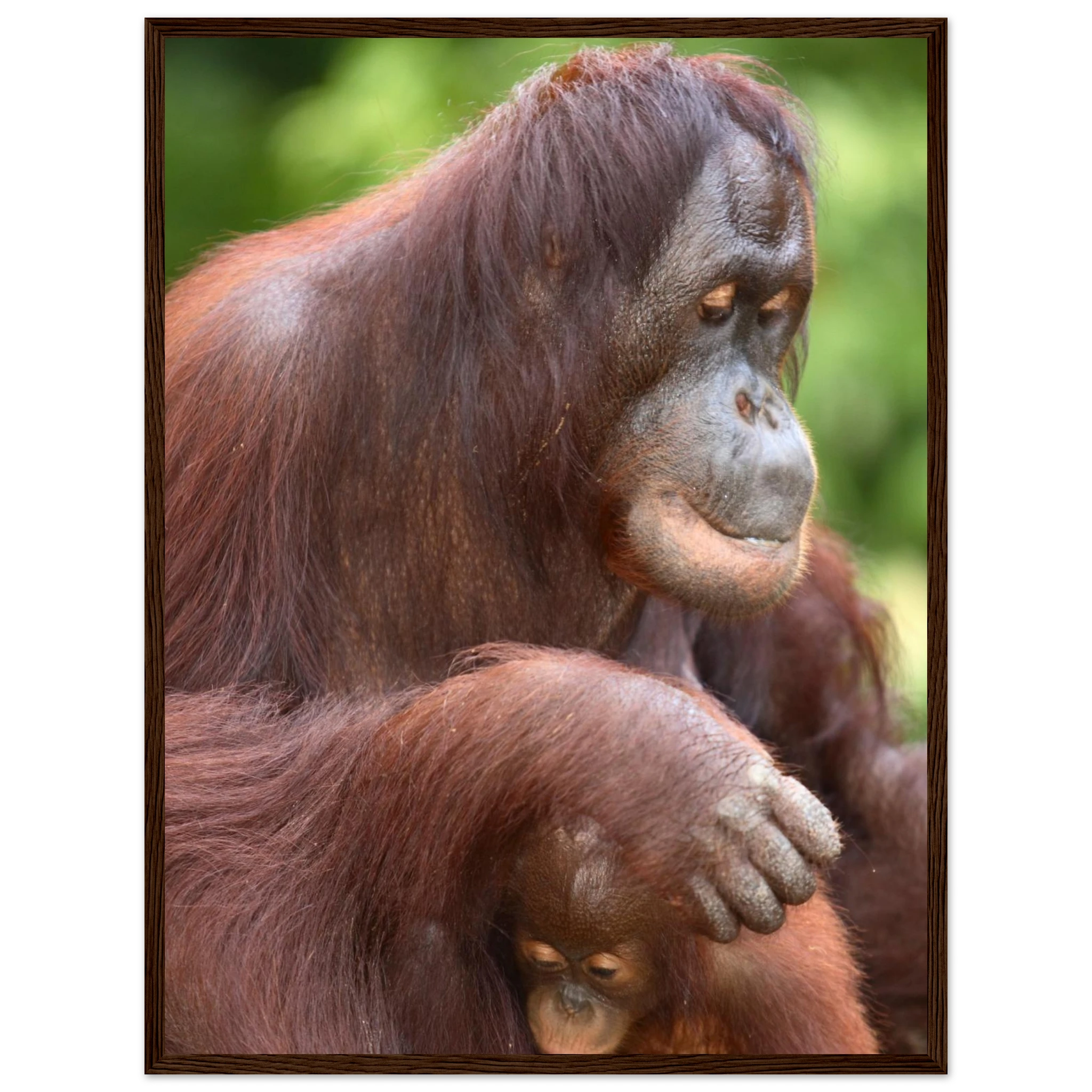 d7bccbaa-47cb-453c-bc1b-ed77ec767760