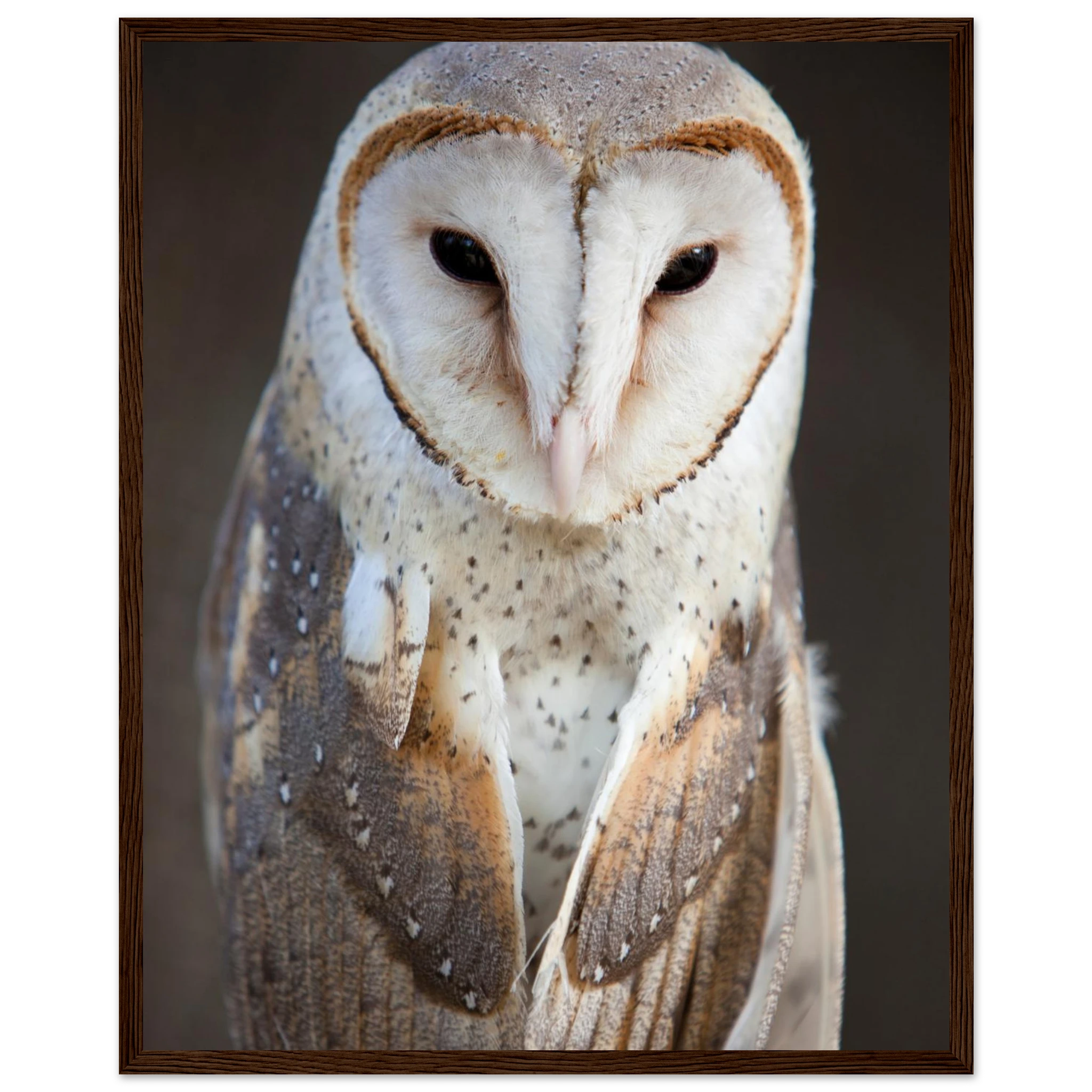 d7d4ac12-1303-436b-91da-00210fd00d64