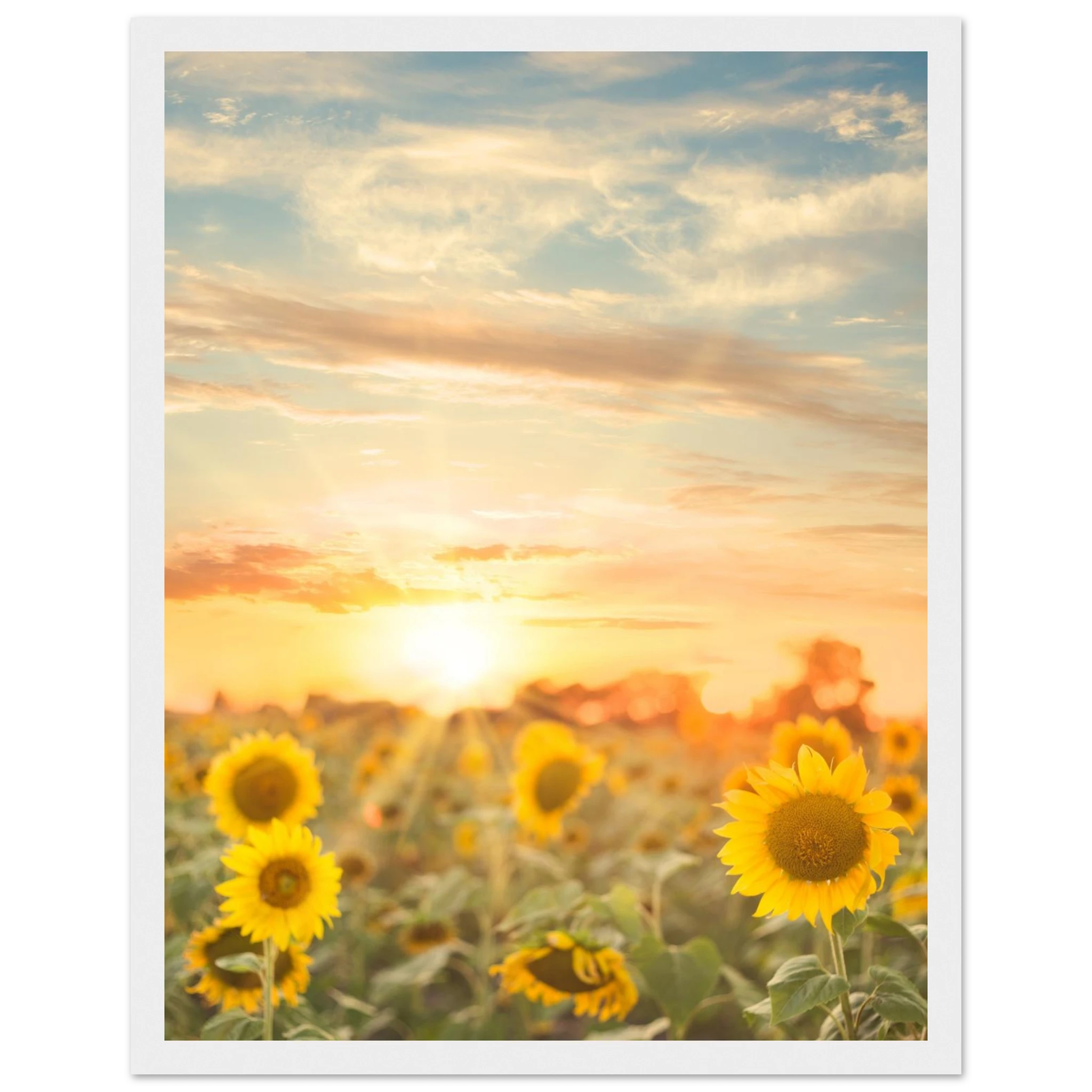 d84cc9bf-2ea5-4f8f-bbca-f888b24d9c20