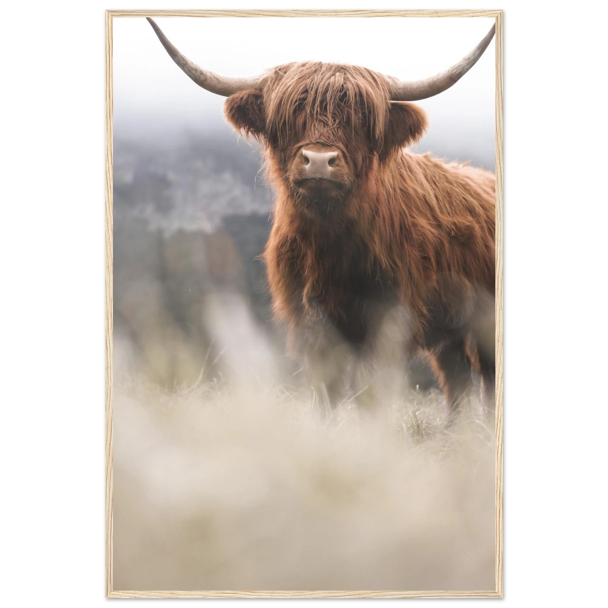 d85ab9cf-726f-4185-8256-3ecc116de665