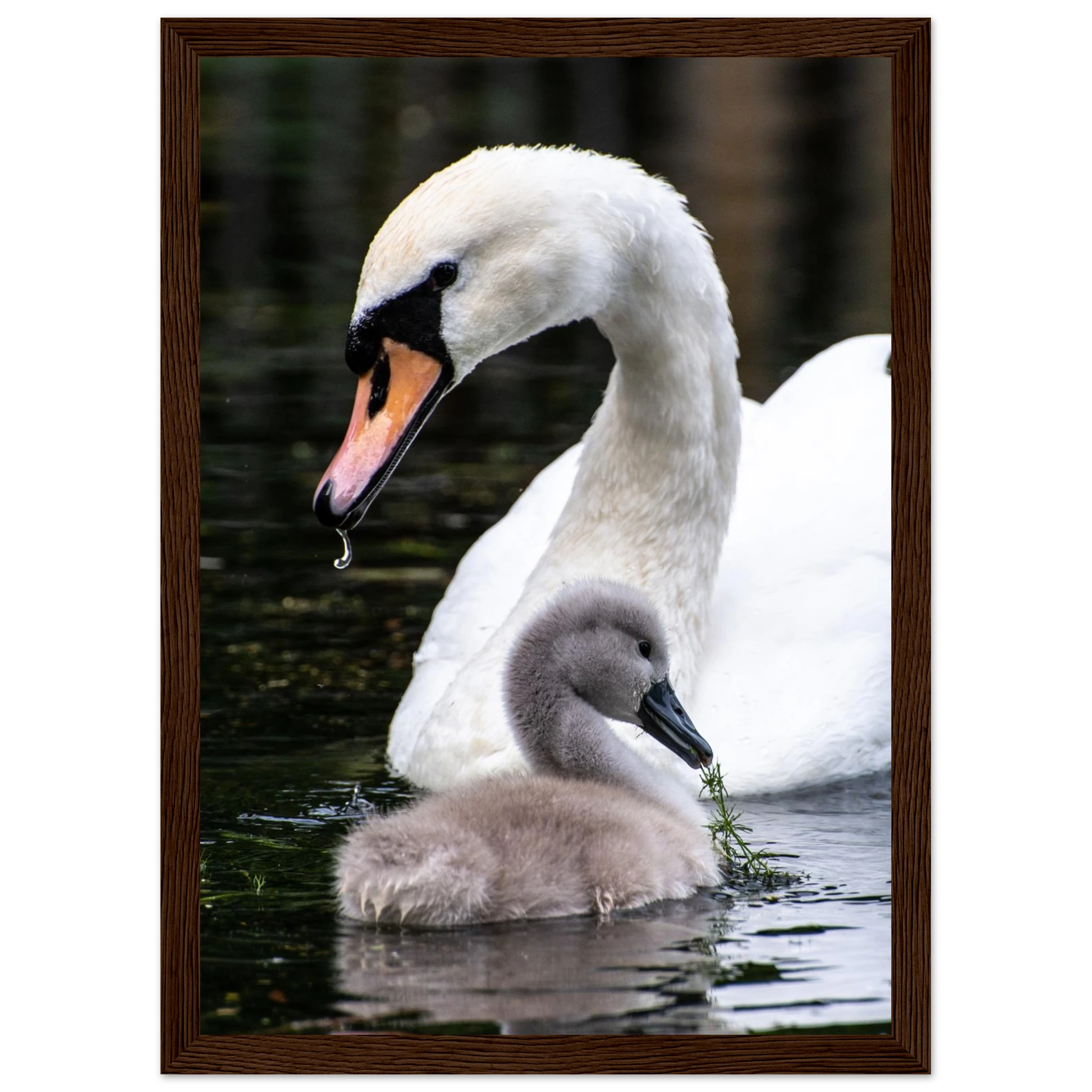 d8901514-7190-47e0-a7de-5c2eaea1469c