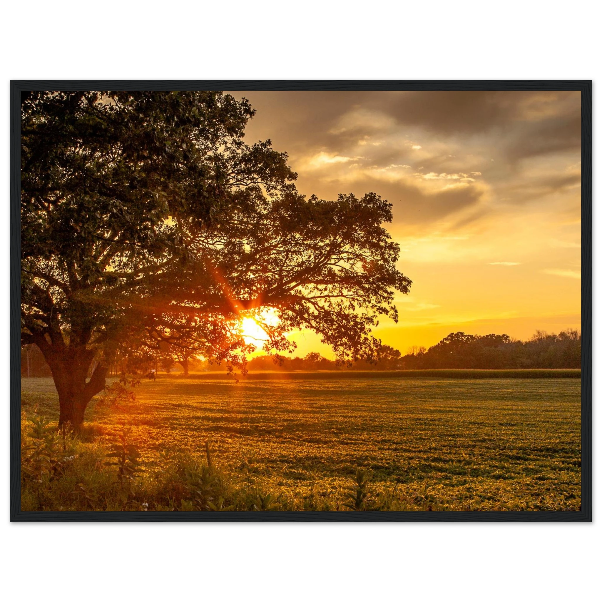 d89767e8-fa25-48f3-9a47-8d342c861864