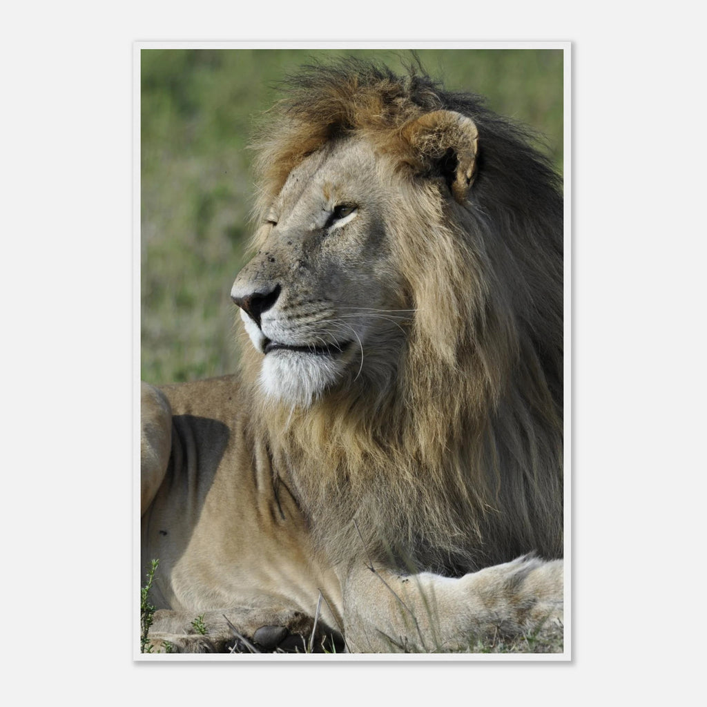 d8a6d4b3-9019-44a5-83a3-560e0e1b5927