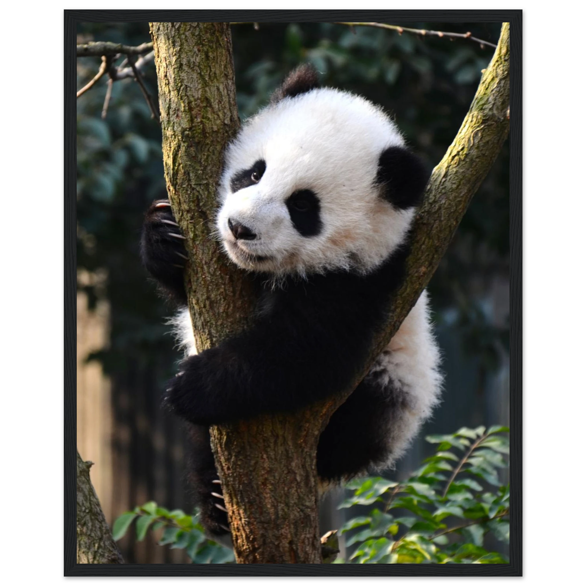 d8d98105-2a73-4252-95a0-b3bb80c728a0