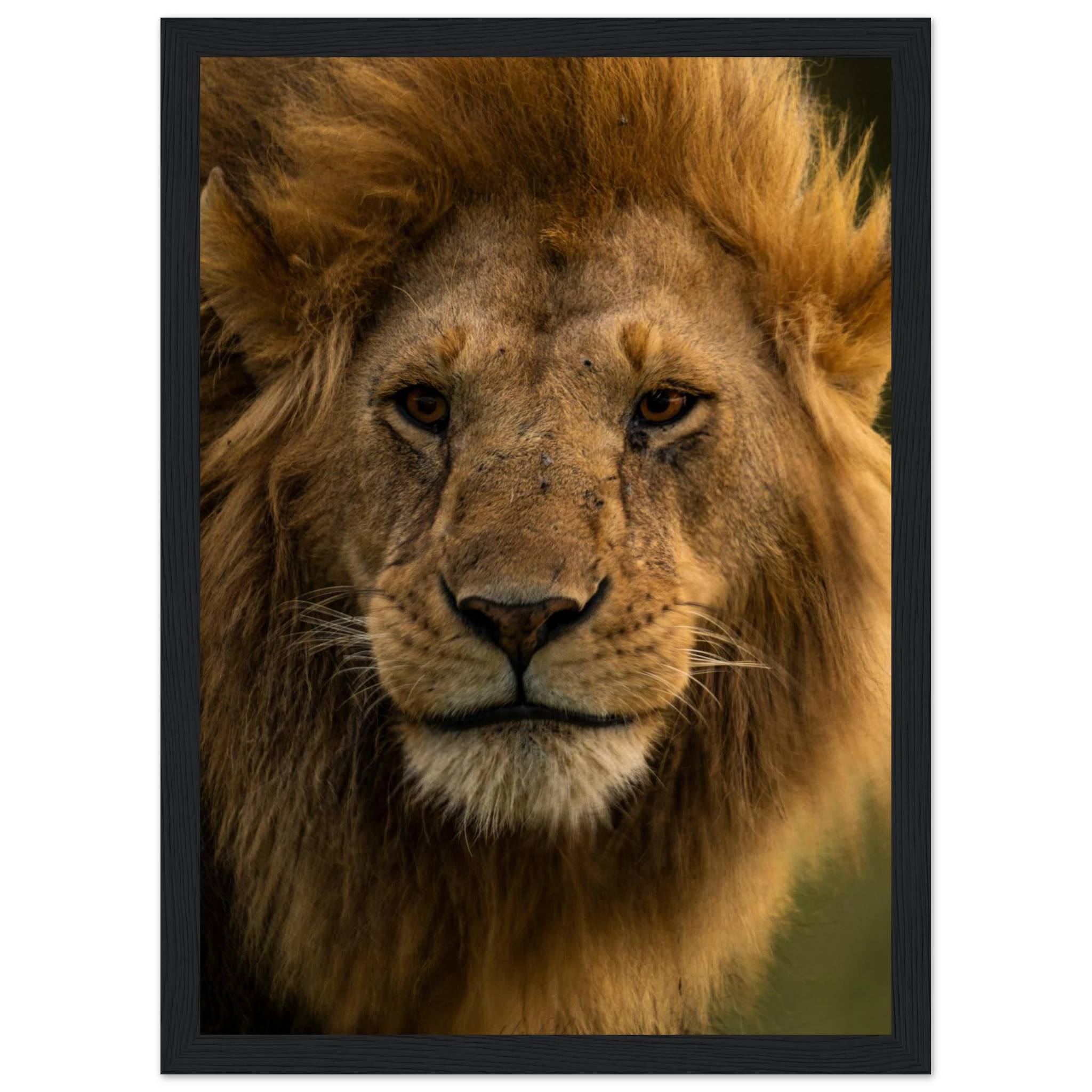 d8f85003-12d7-44d1-9e34-3768d72b06ed