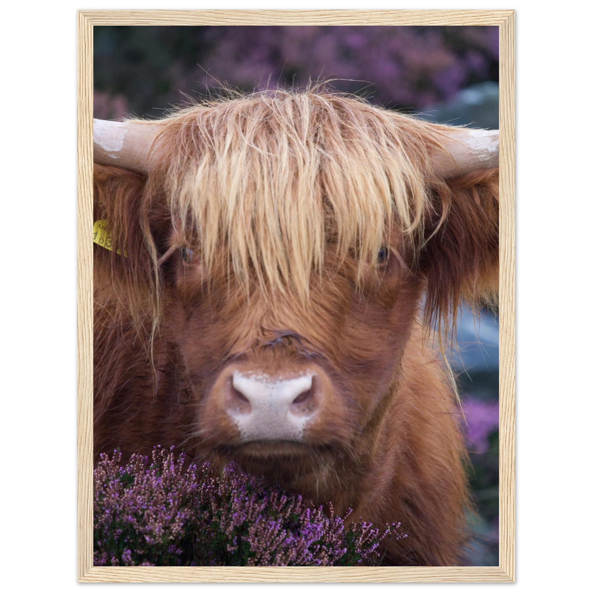 d9079c07-3dc0-424f-a4da-2b1511f411c7