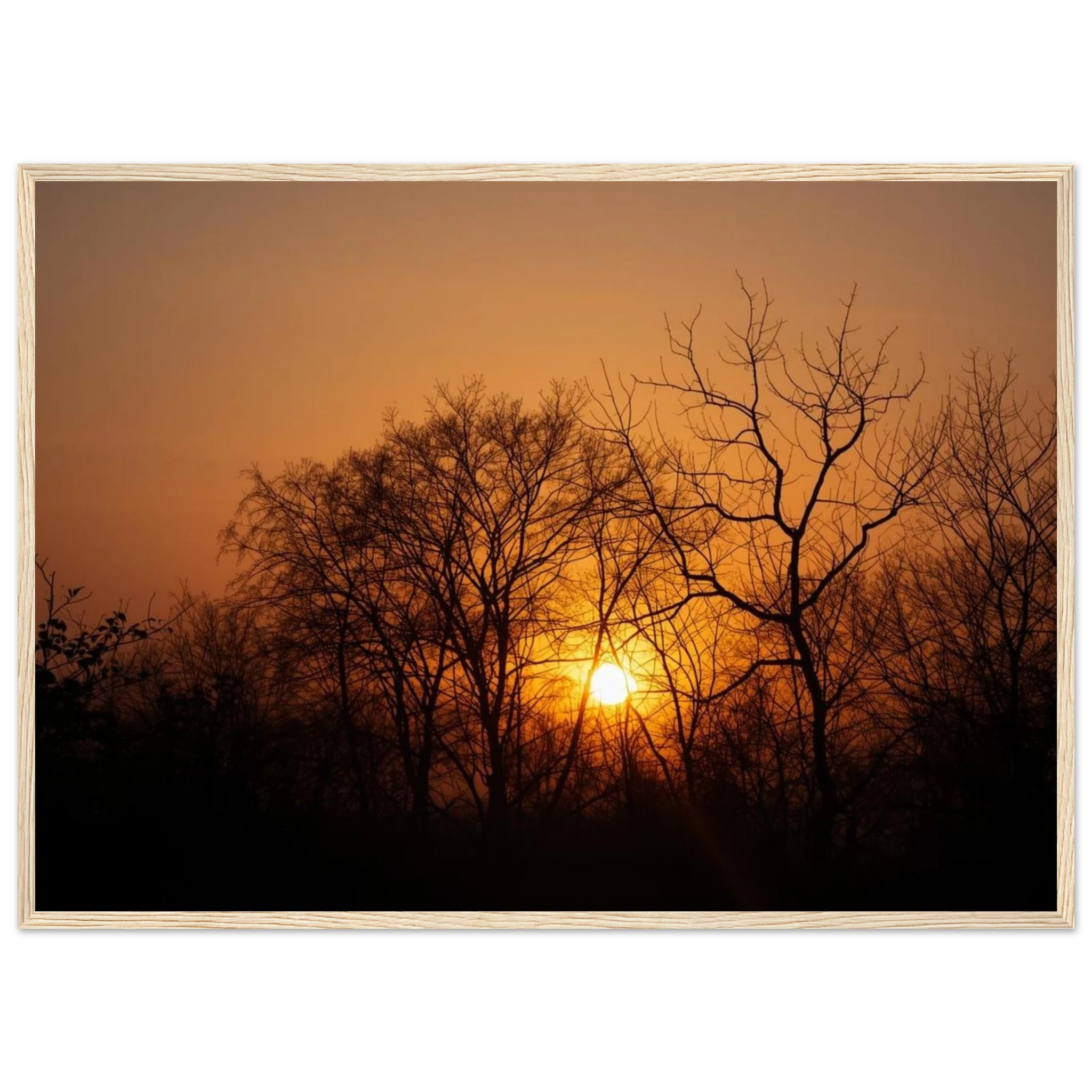 d92ff07c-c2c4-47e8-b4e4-97d1af3d3b28