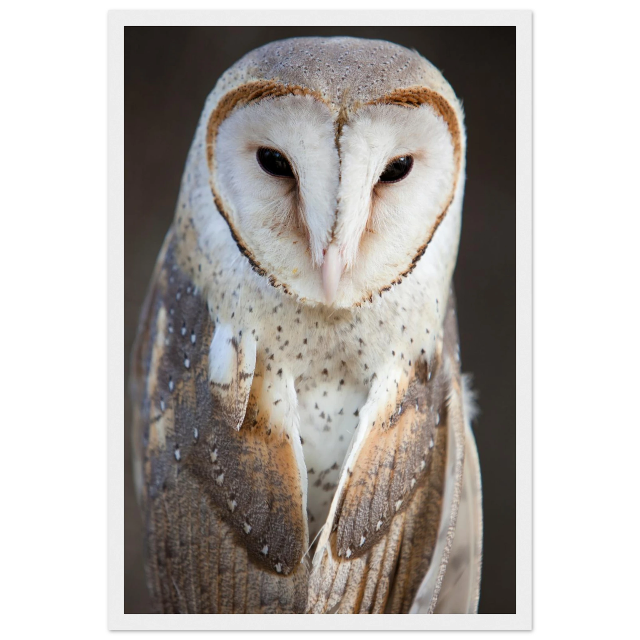 d96e39ed-0438-4525-bac4-a8ffc289f968