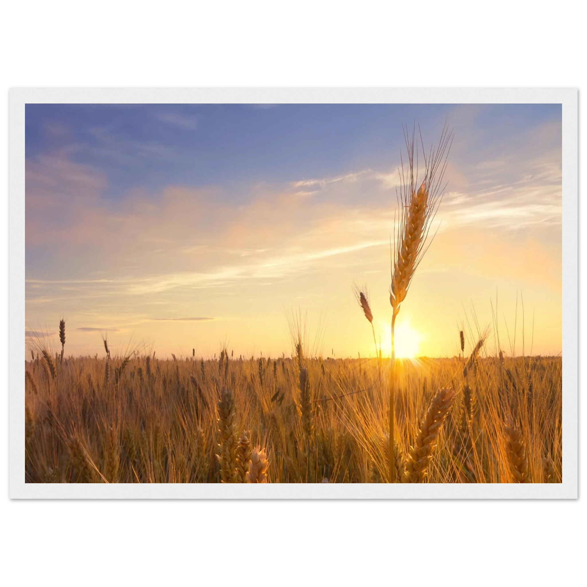 d97695f9-8b73-455b-8099-3f4544809fd9