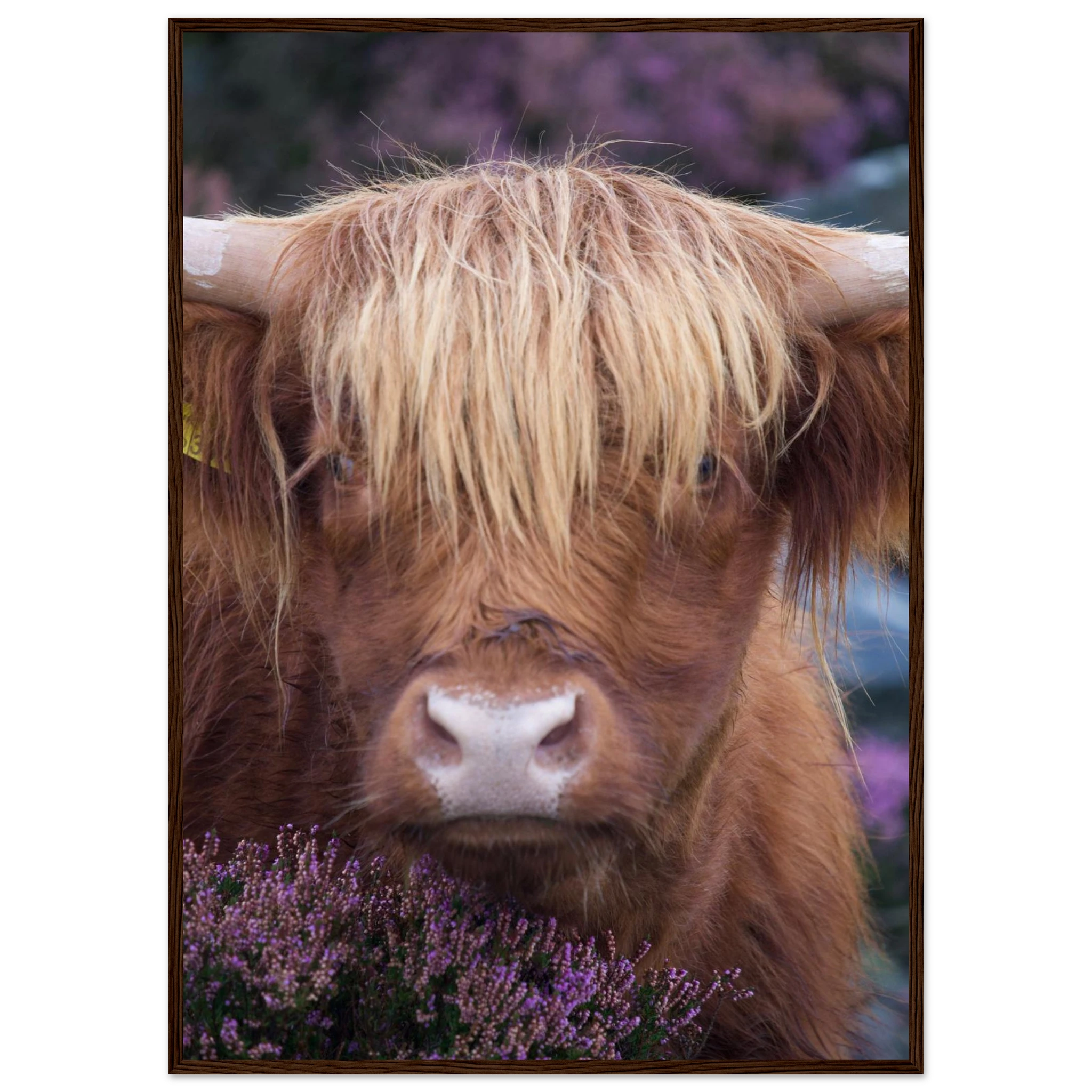 d979e77d-c6d1-49a0-942f-a37892179d11