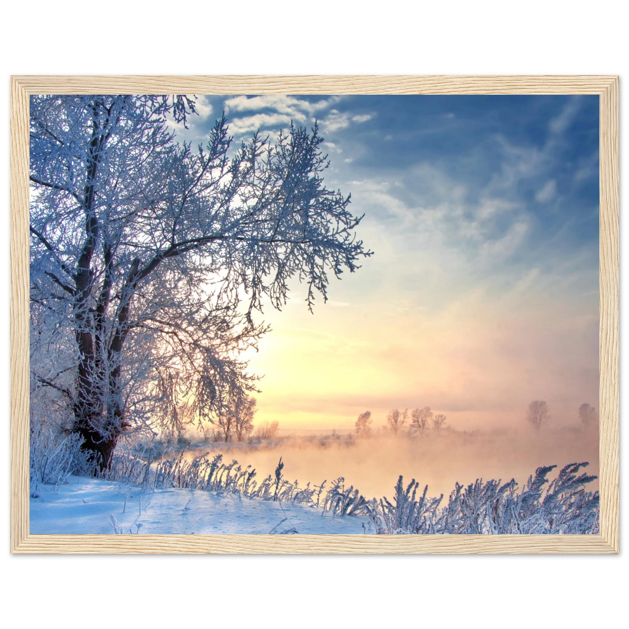 d98dc8a8-c21e-4bbc-aea6-aa2b9ca9ce10