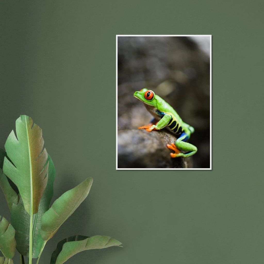 d9978cc5-08ac-4f82-8e1a-55401d236b5e