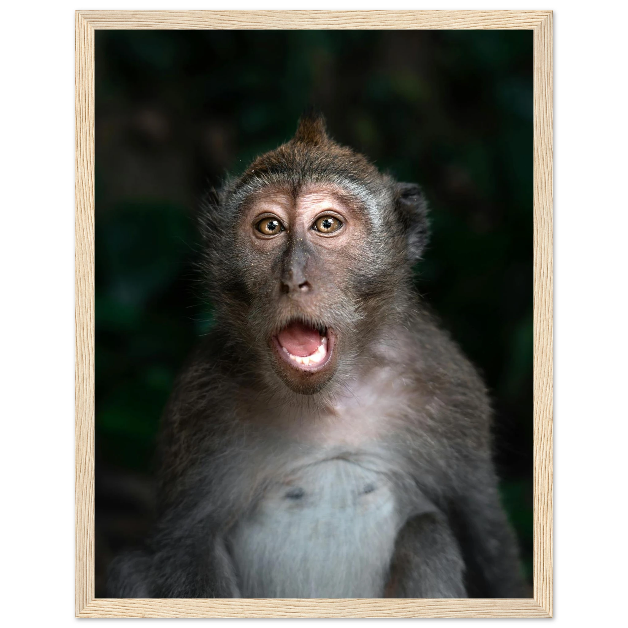 d9b189fd-c44b-4a10-88f2-8db6b9857088