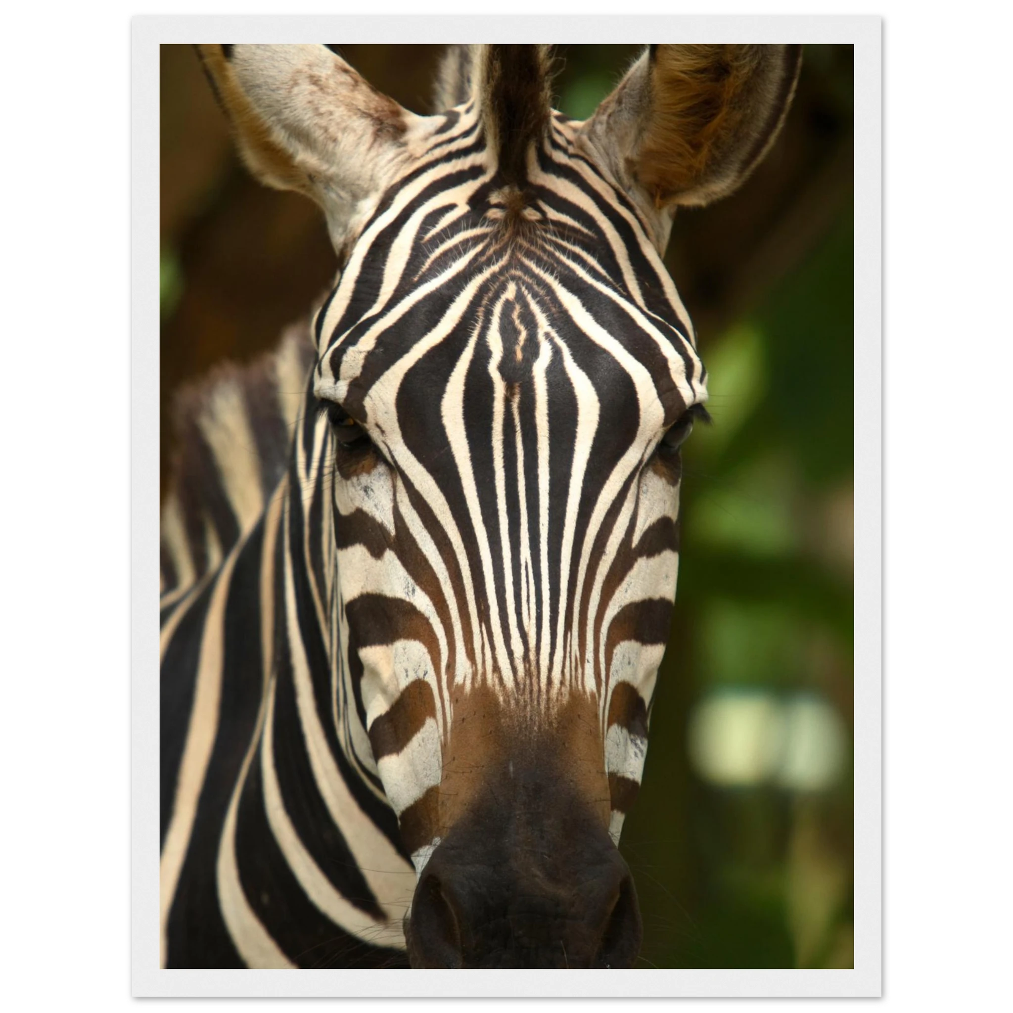 d9c519f4-e2d2-40d8-8e15-f15e9c8b7125