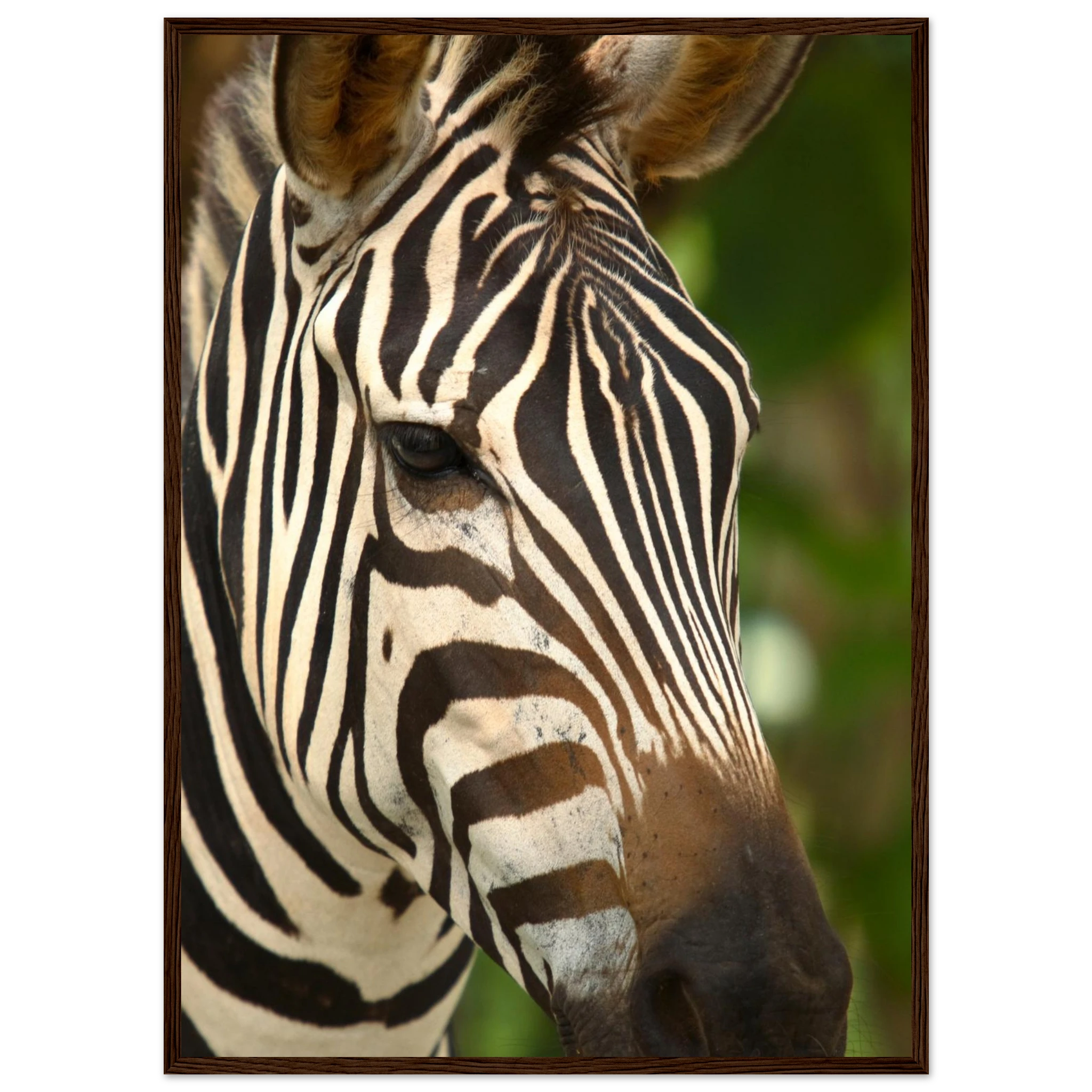 d9c69229-81c0-47a8-bfe0-6324fcdb7fc3