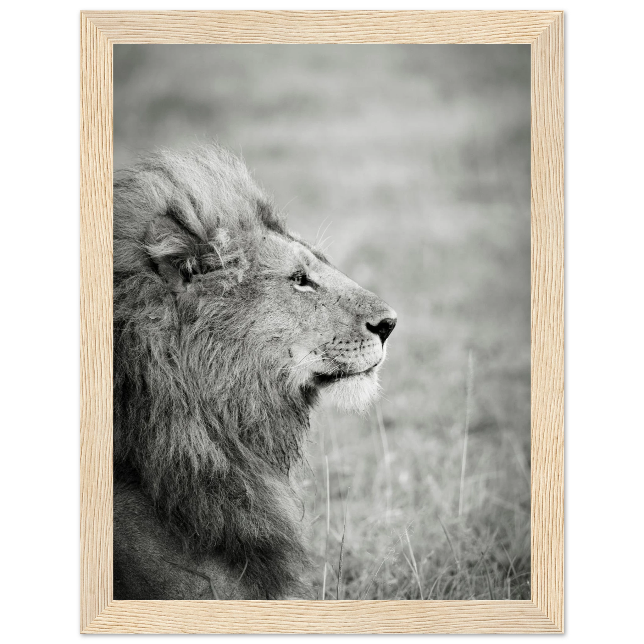 d9de6195-50a0-4eb8-9acd-351ae581c55d