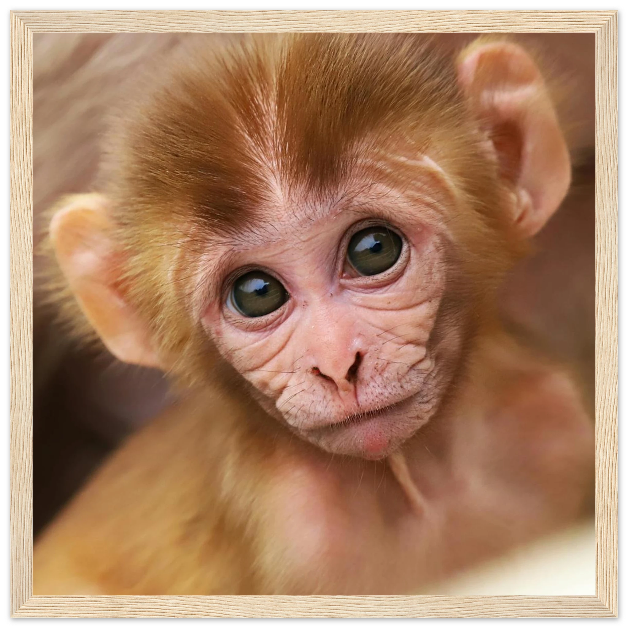 d9e5e8b7-084b-4f6a-8fbb-ddf25d61a895