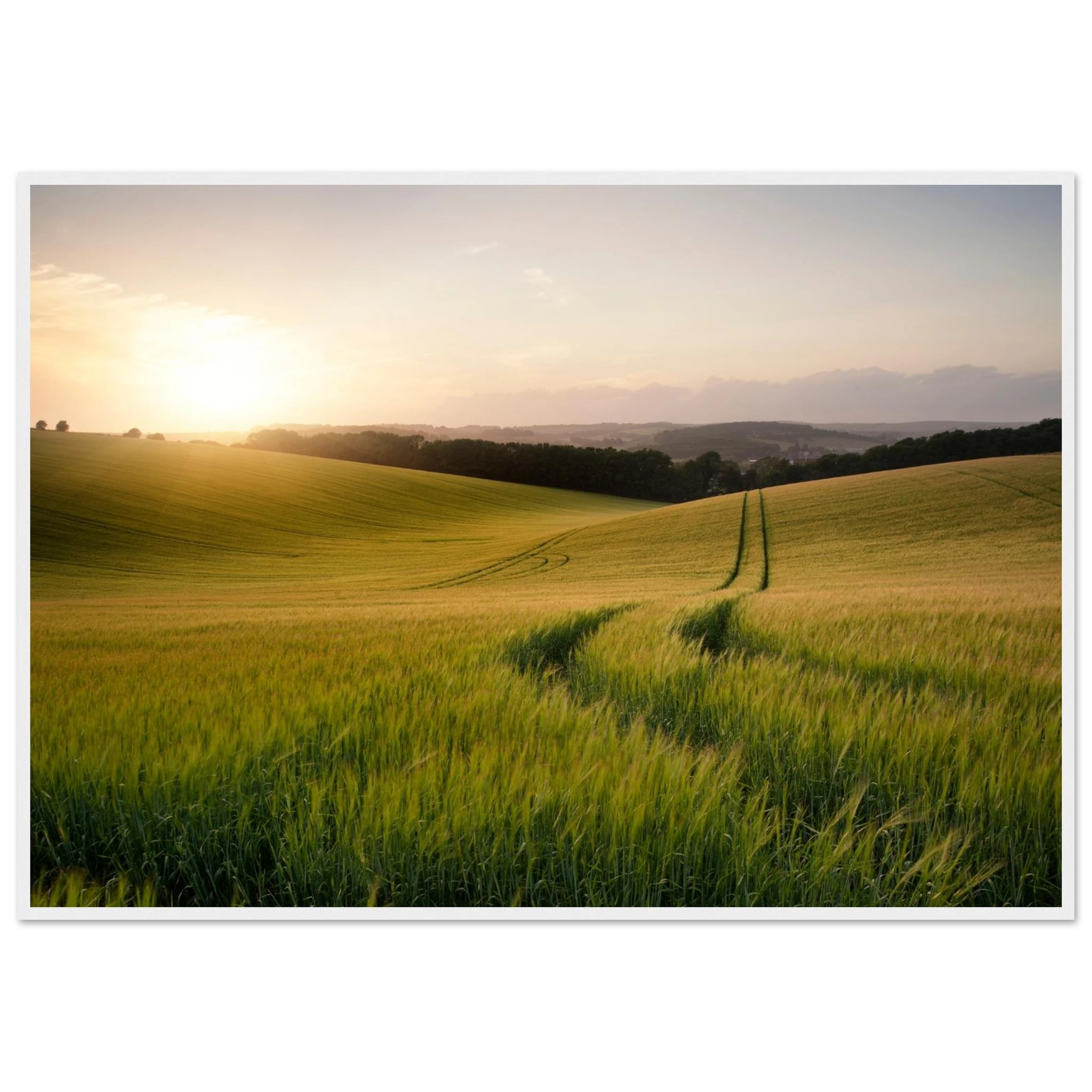 da17126d-5333-478b-87e7-fb11b74b5f99