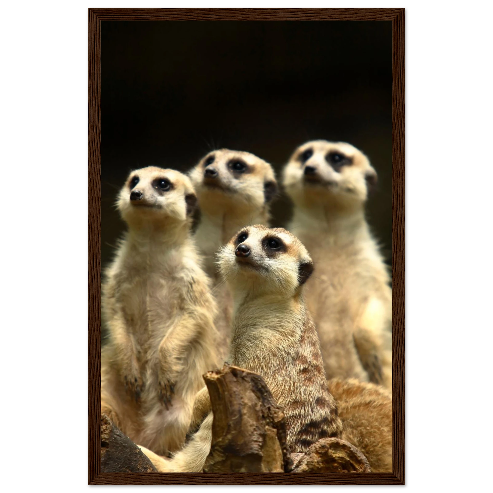 da2ba81b-847c-40a4-b15a-d0ac3361834c