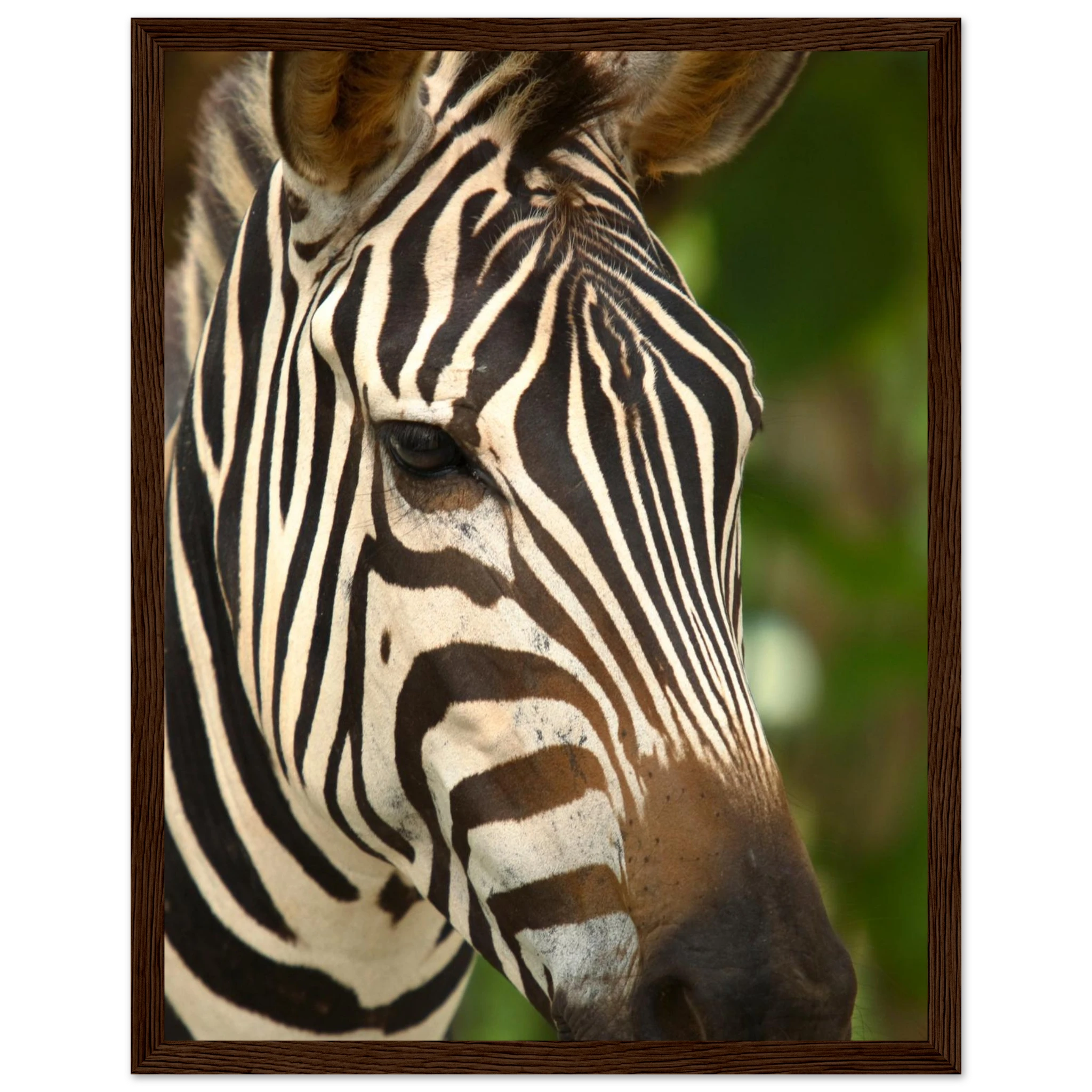 da57240a-82d6-45e4-8d49-6309d1275768