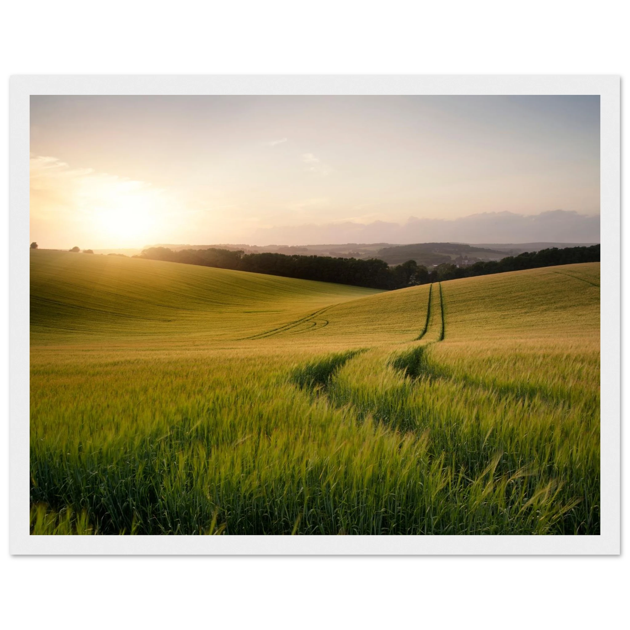 da752514-116d-4f74-a5d9-9bfc9cc821ae