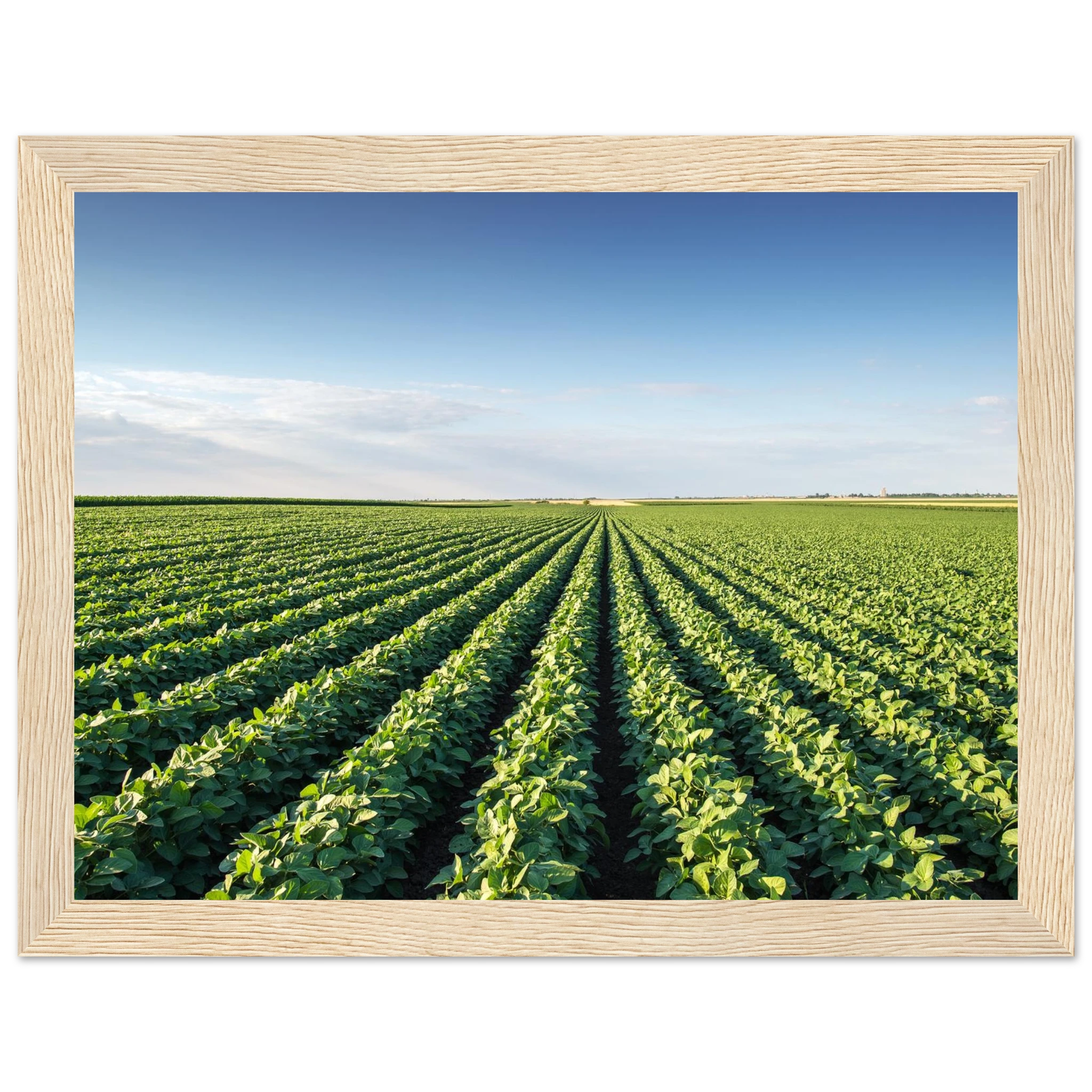 da77db72-5c19-42e3-a880-2fe0d480d407