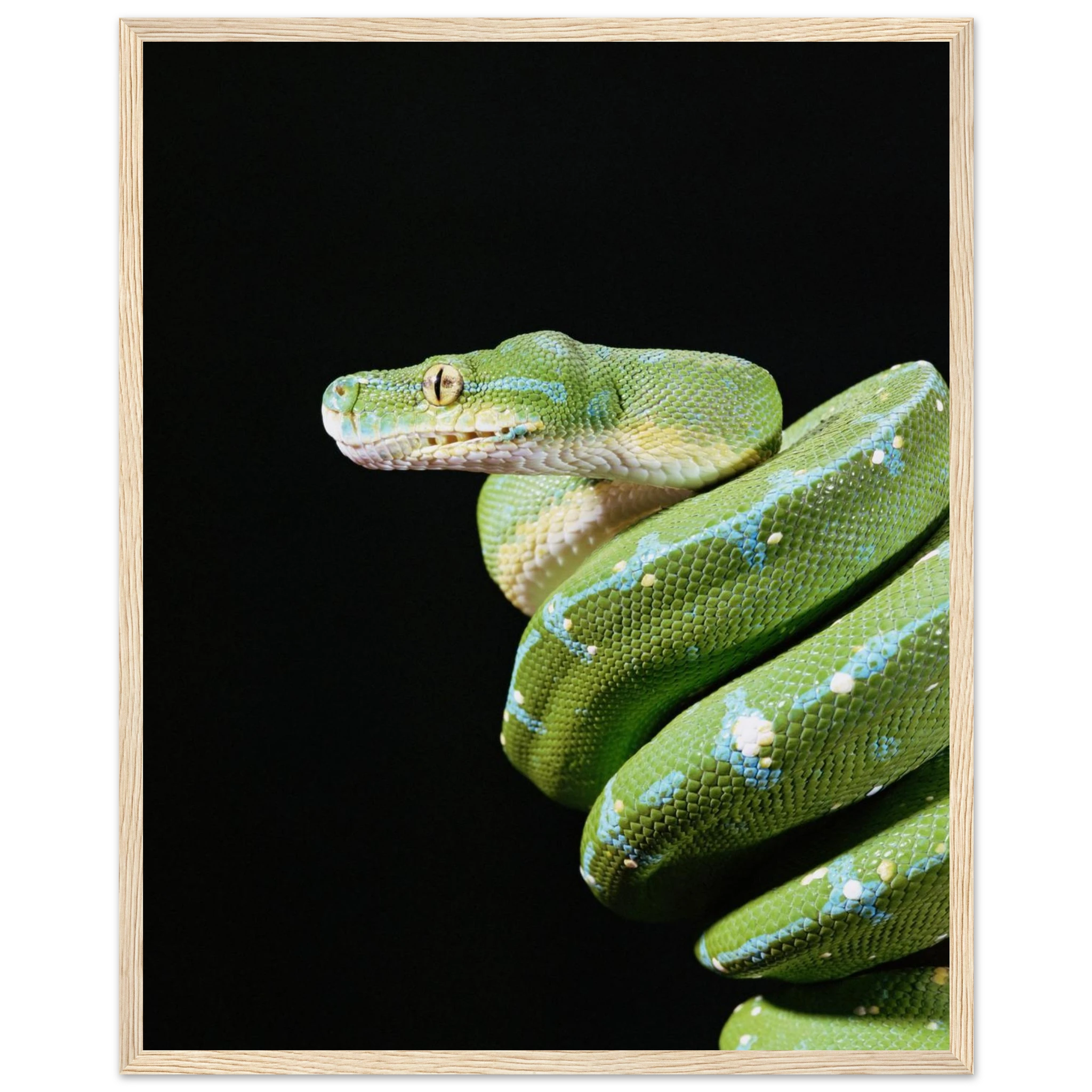 da7a65d1-f600-4bfd-8100-ea3811743a22