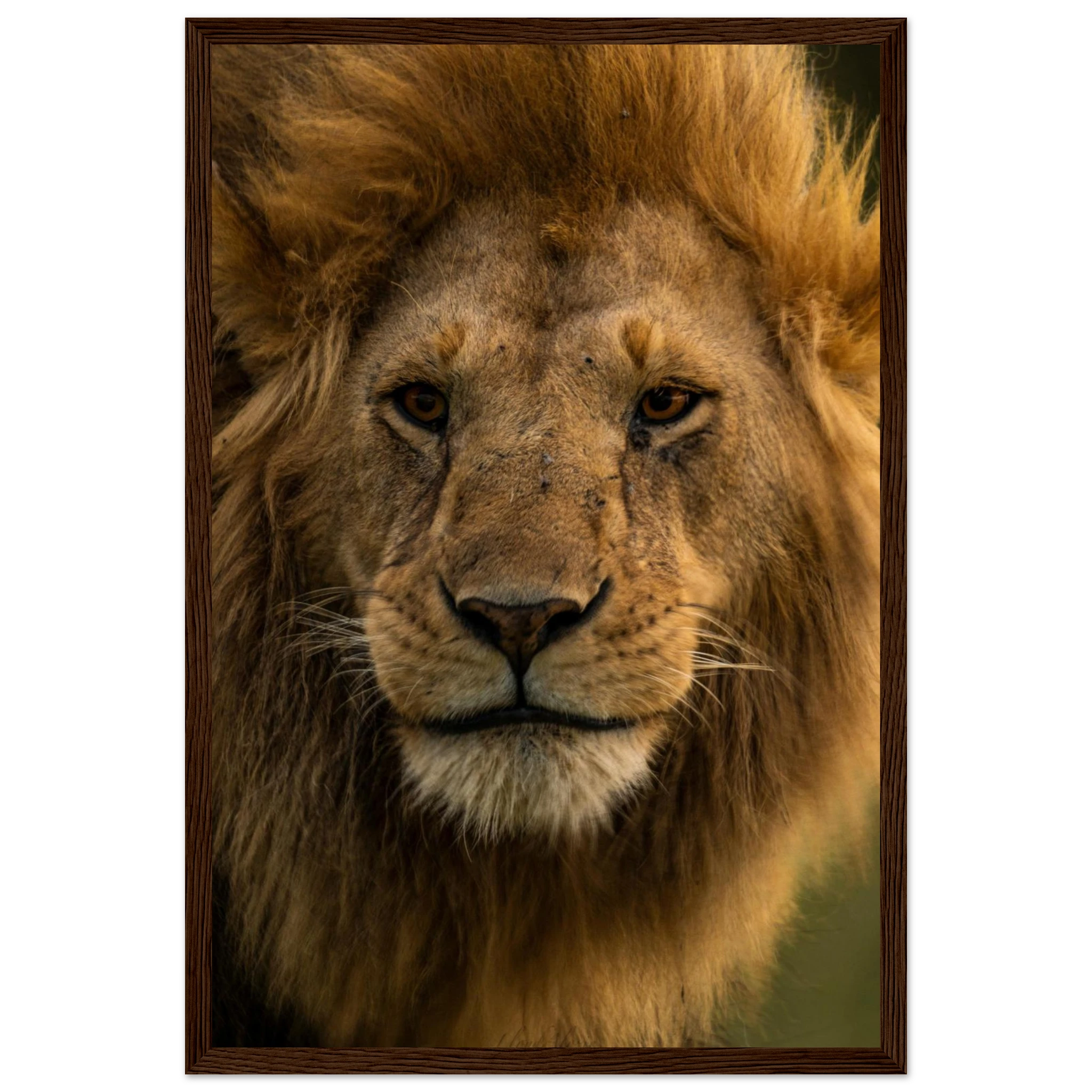 da86a5c3-2995-4961-b914-f9c68047c3a9