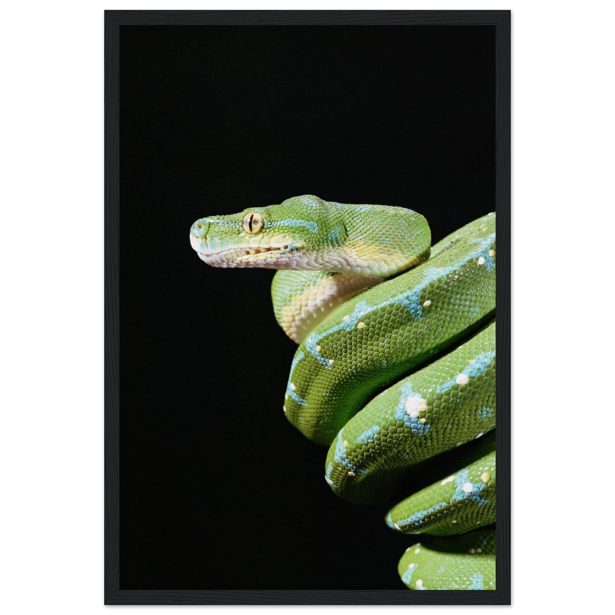 da9942f6-47d9-4da4-9ec3-a1705754fc93