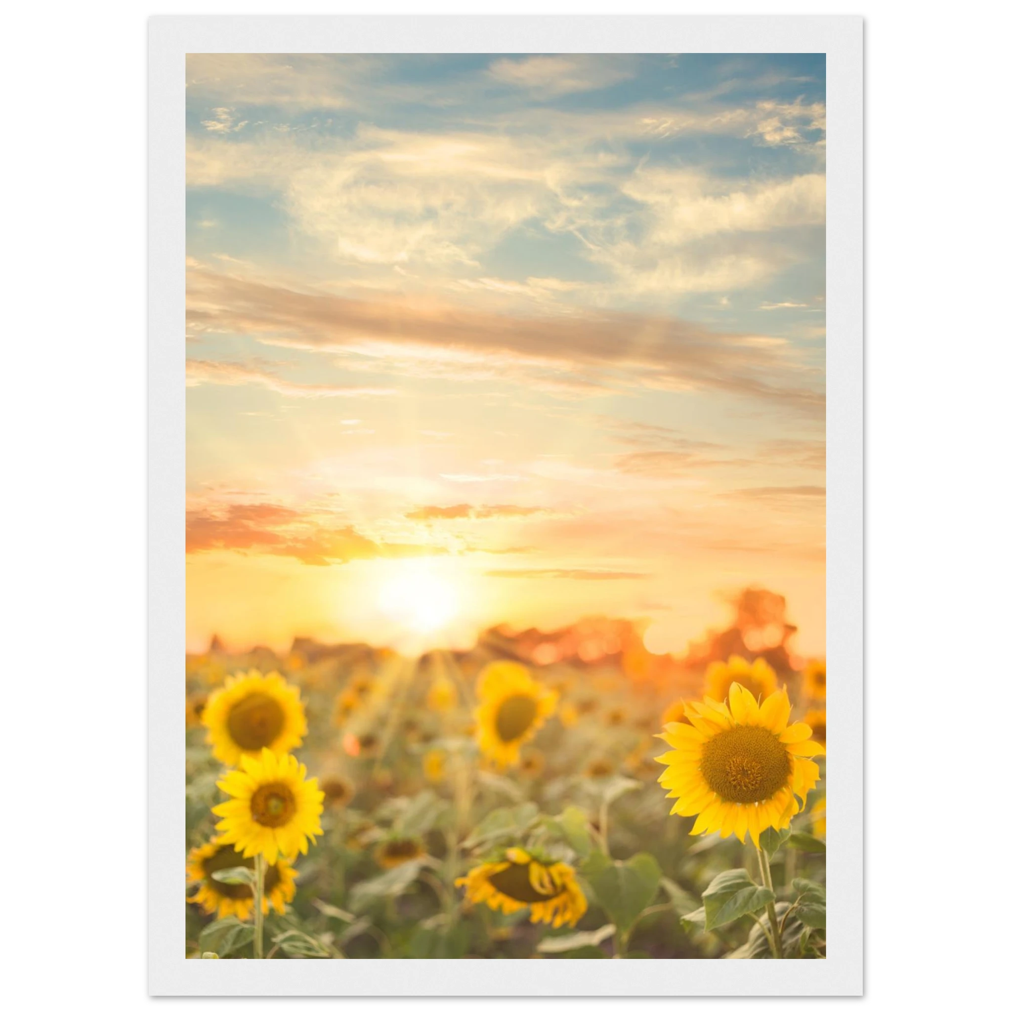 daa29e01-ff44-4970-b150-09ecbfadb598