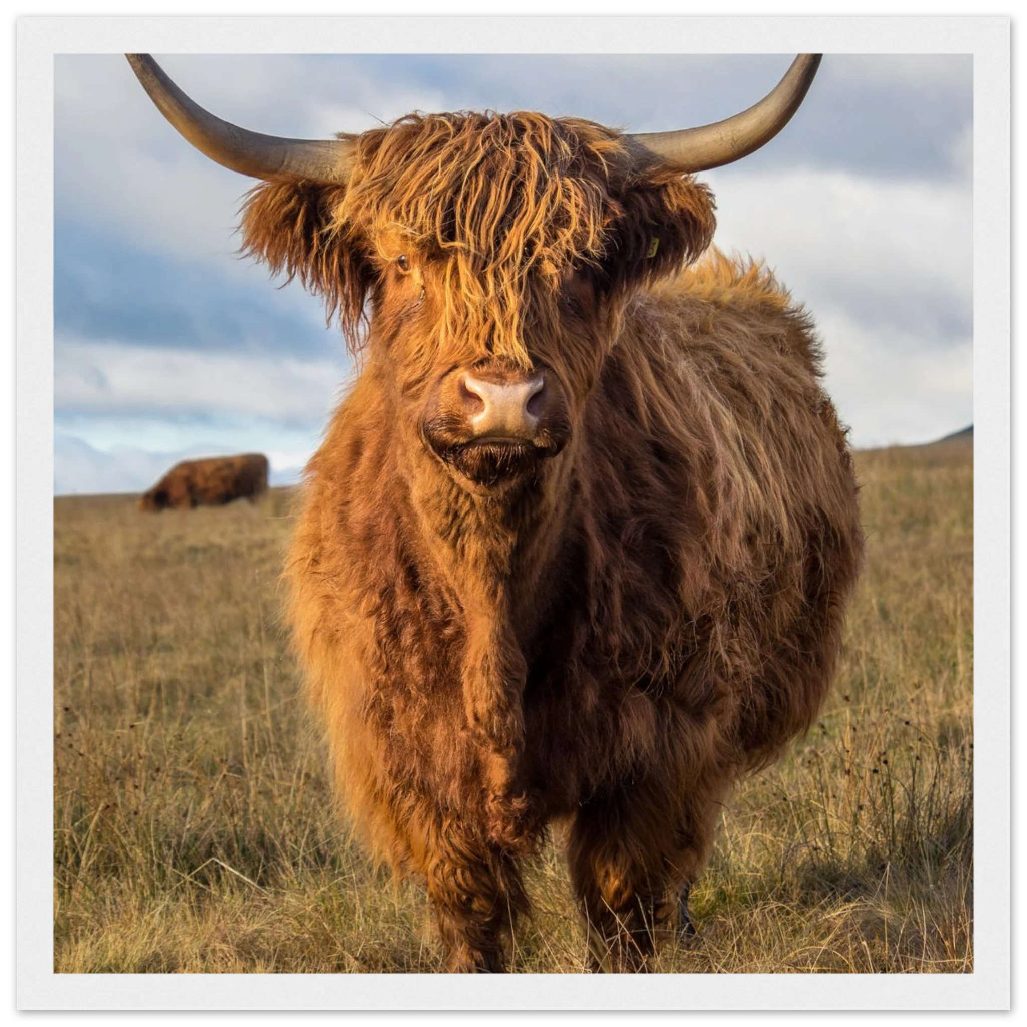 dad14929-c758-4f17-840a-61cb1789b06f