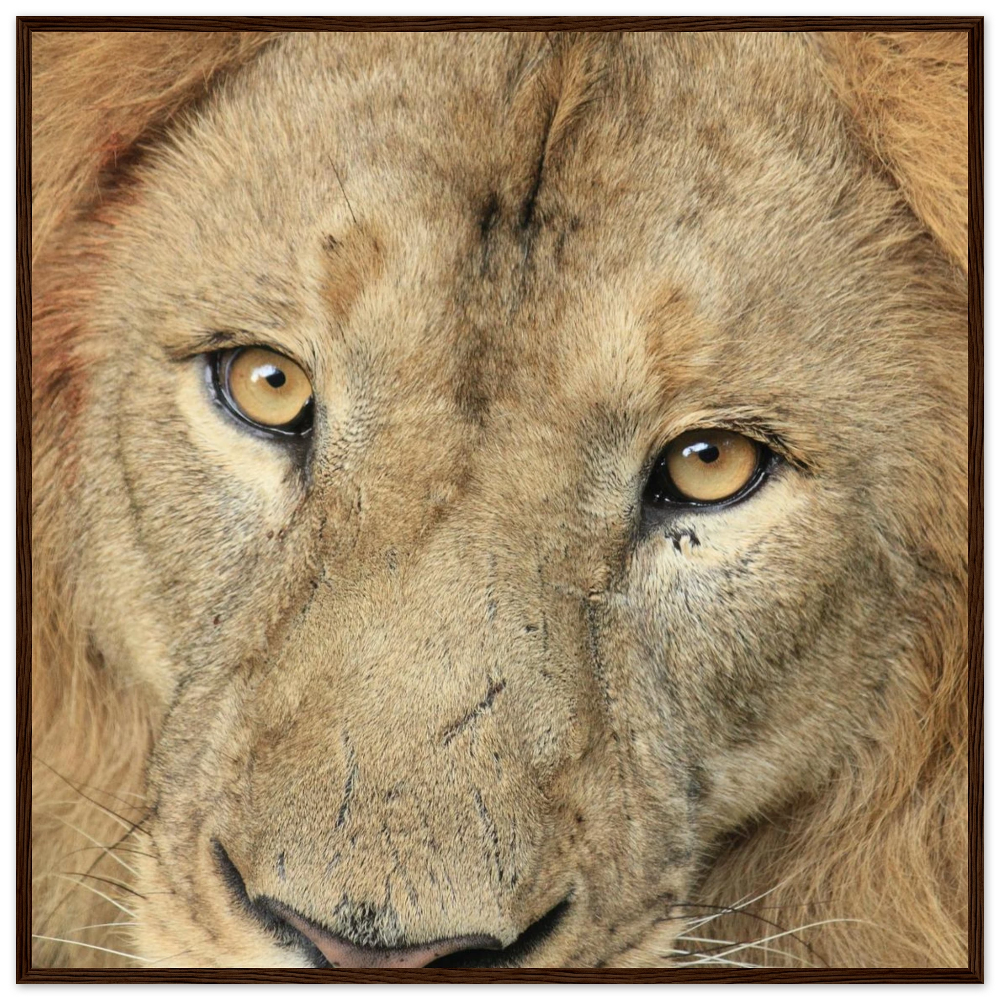 dad1af3f-dd72-45a9-9873-62057302fd15