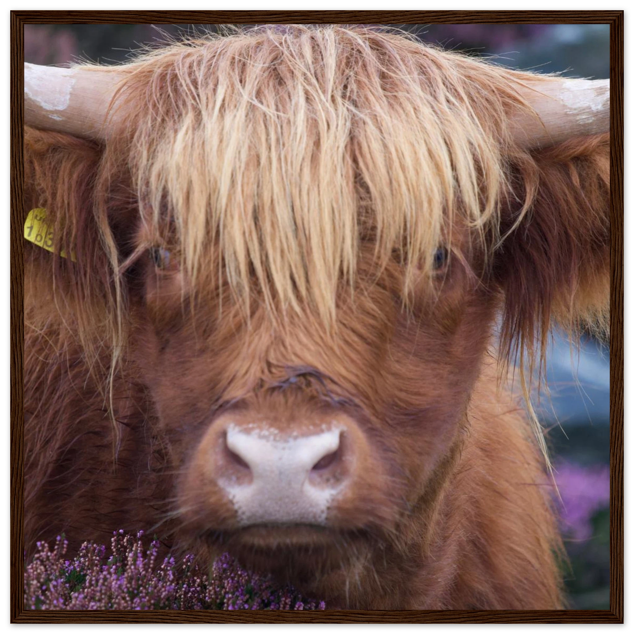 dad276e2-b645-4ca6-9b14-3bbd02918e1e