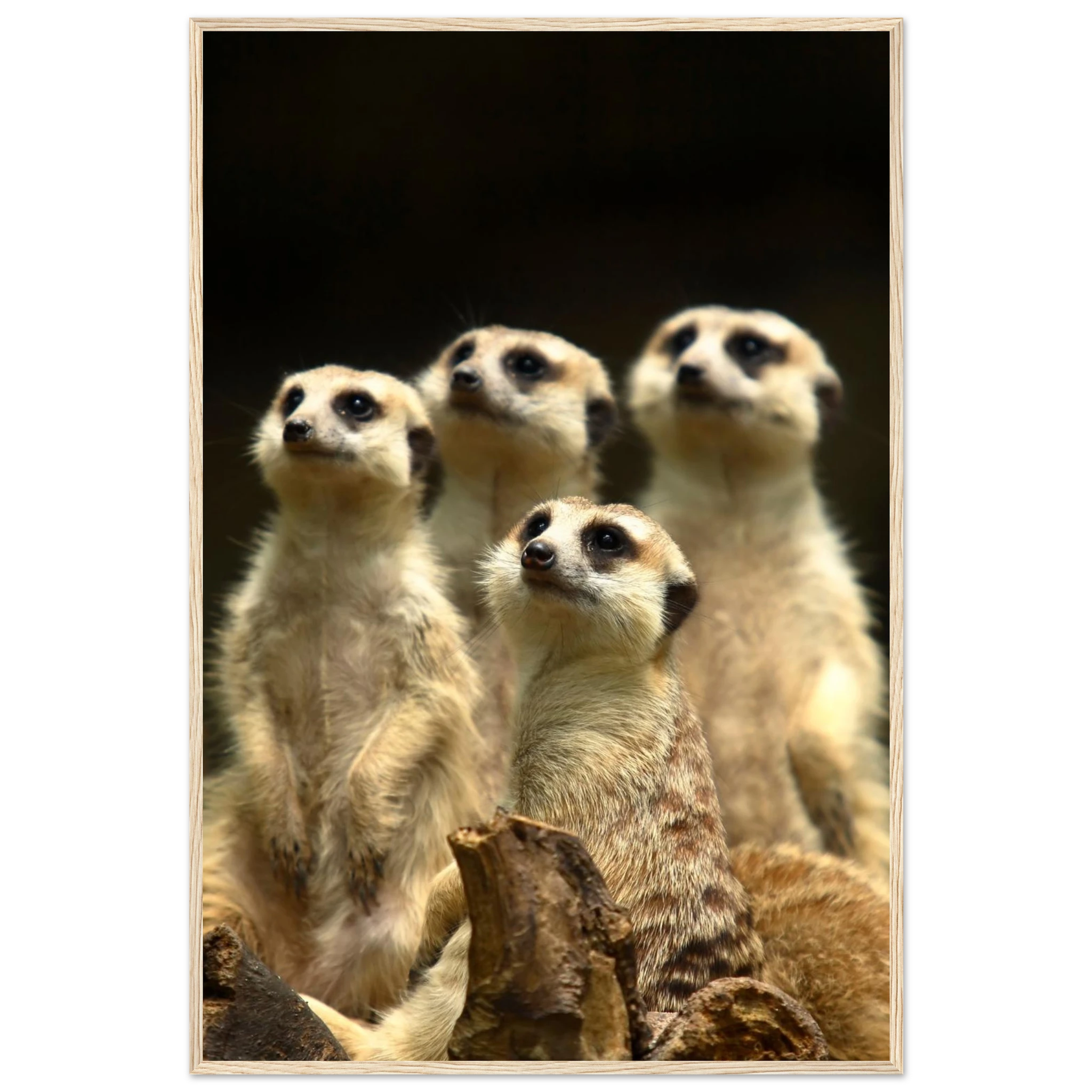 daddacfc-af87-417f-884f-61512bac2072