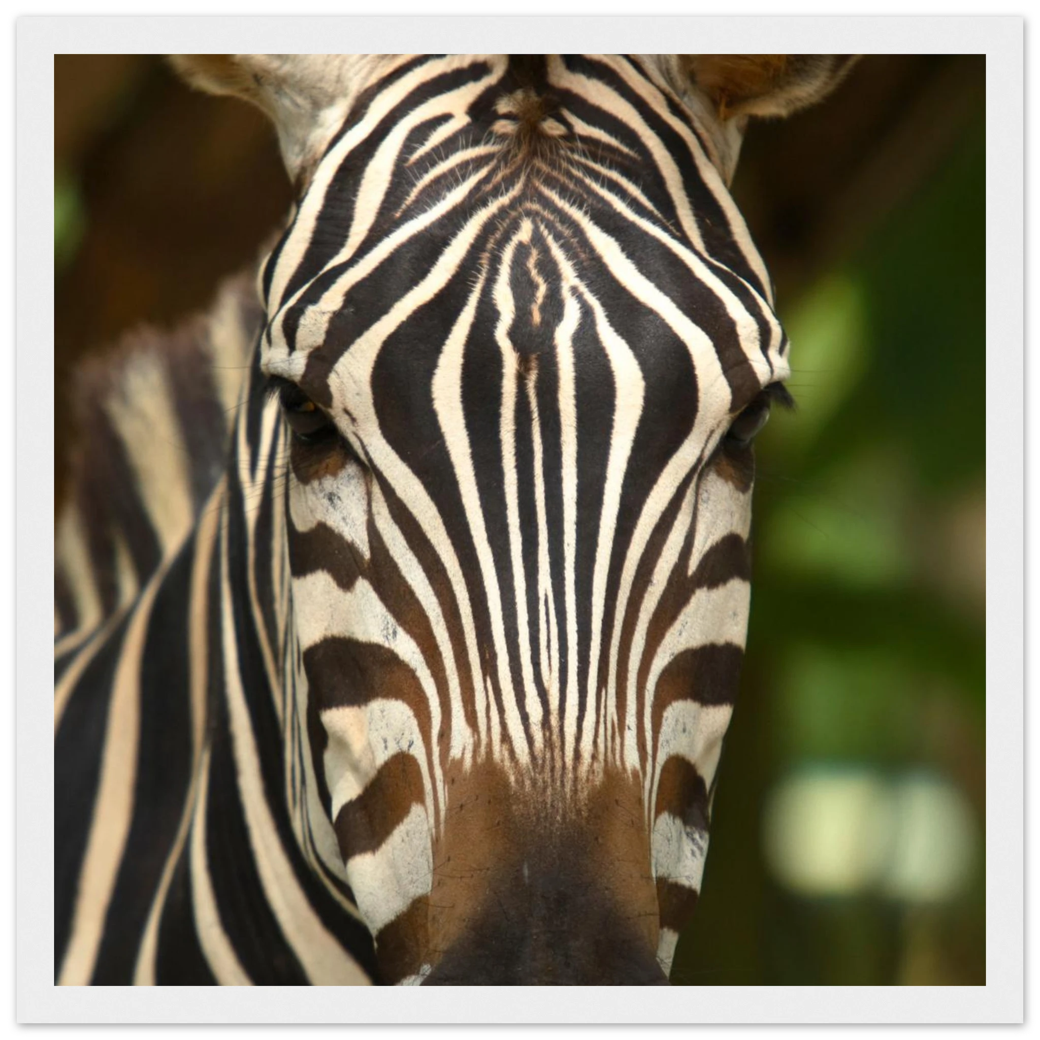 dae9c4ef-5704-4329-a314-b0caca306f43