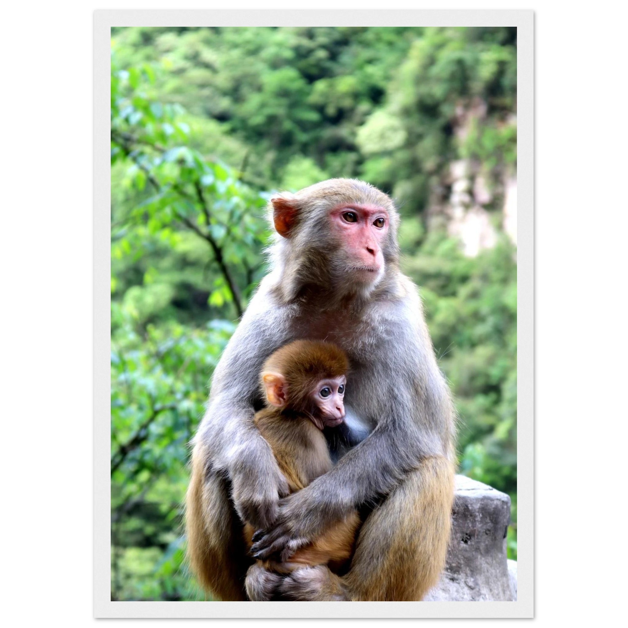 daf61855-9900-4141-a2b0-60527b84ab0b