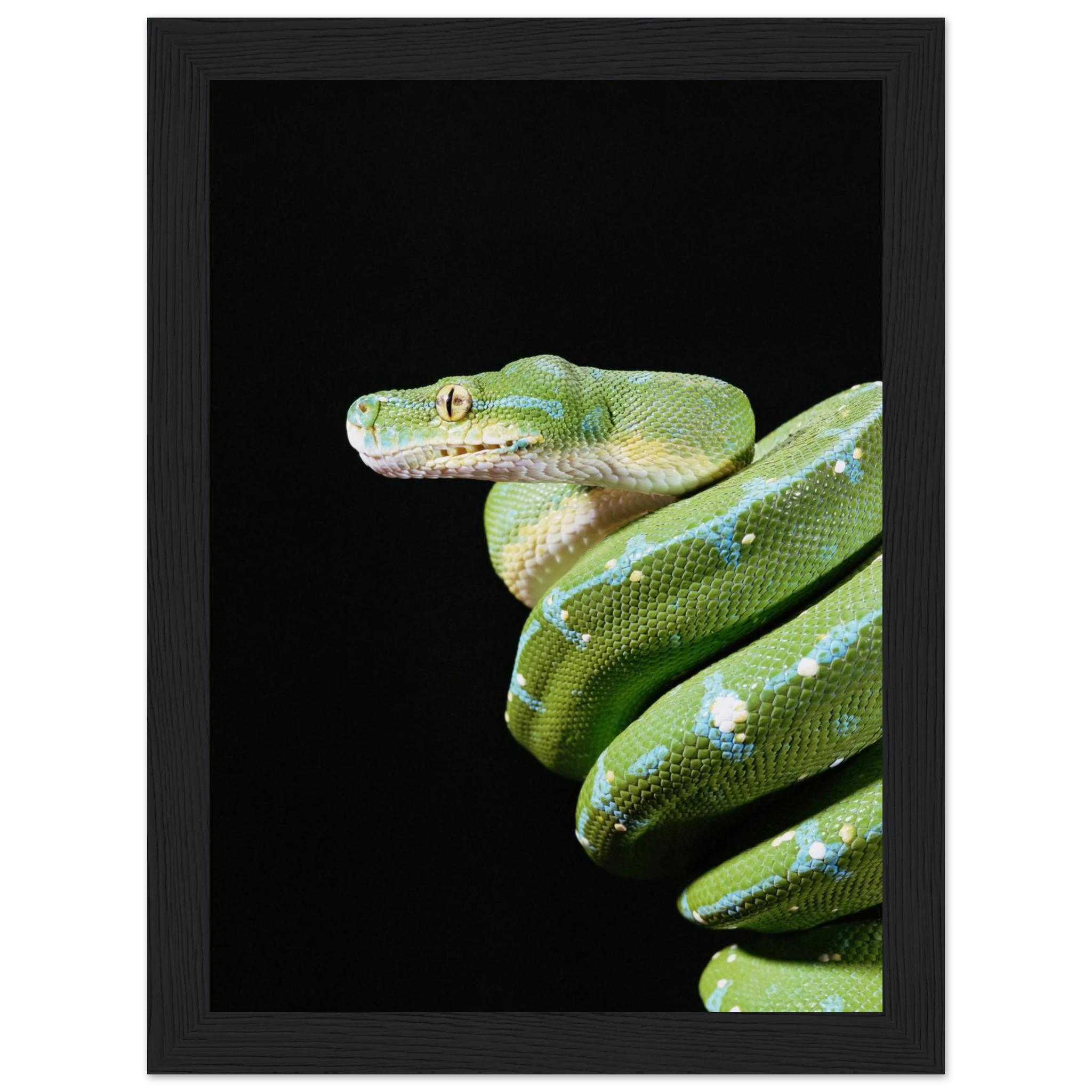 daf7c677-39b0-4e13-b82f-72960238f63a