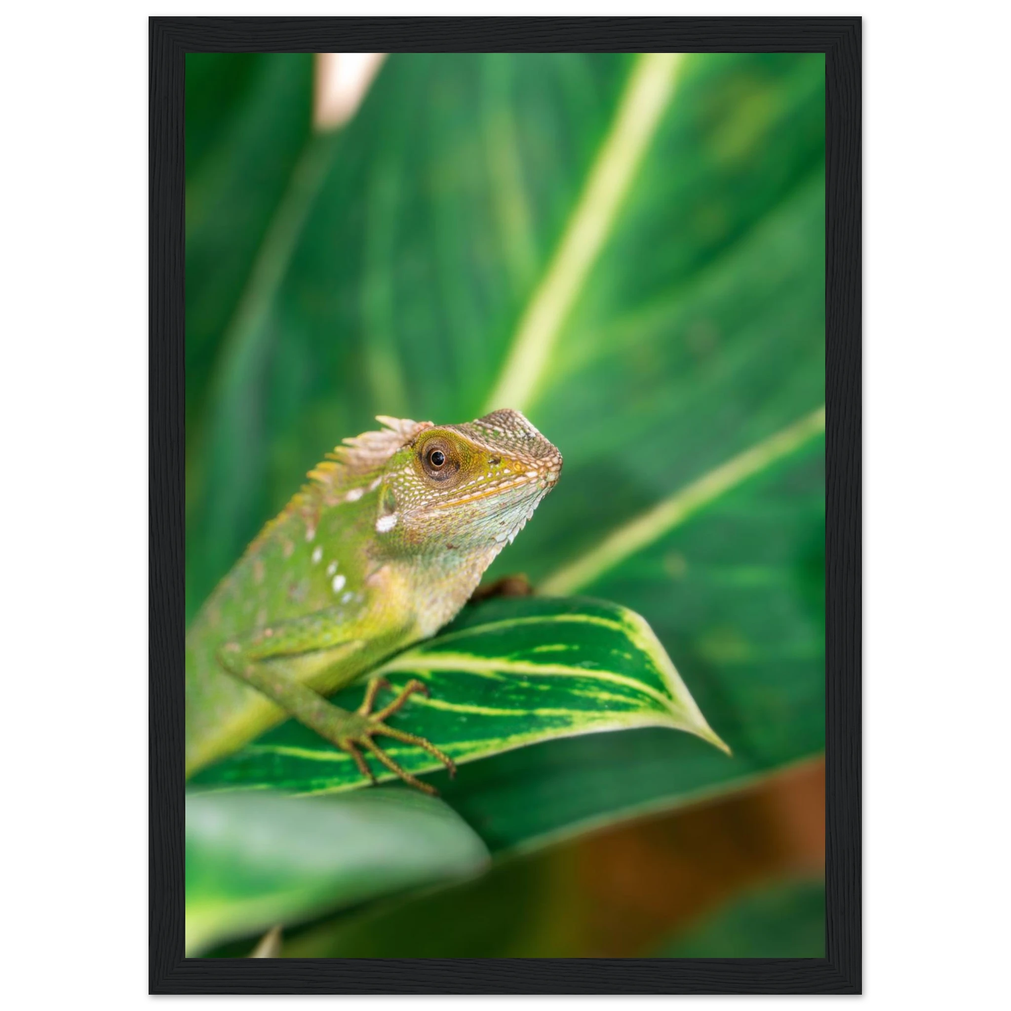 daf8bb89-e3a3-414a-afd5-920c0bf8a946