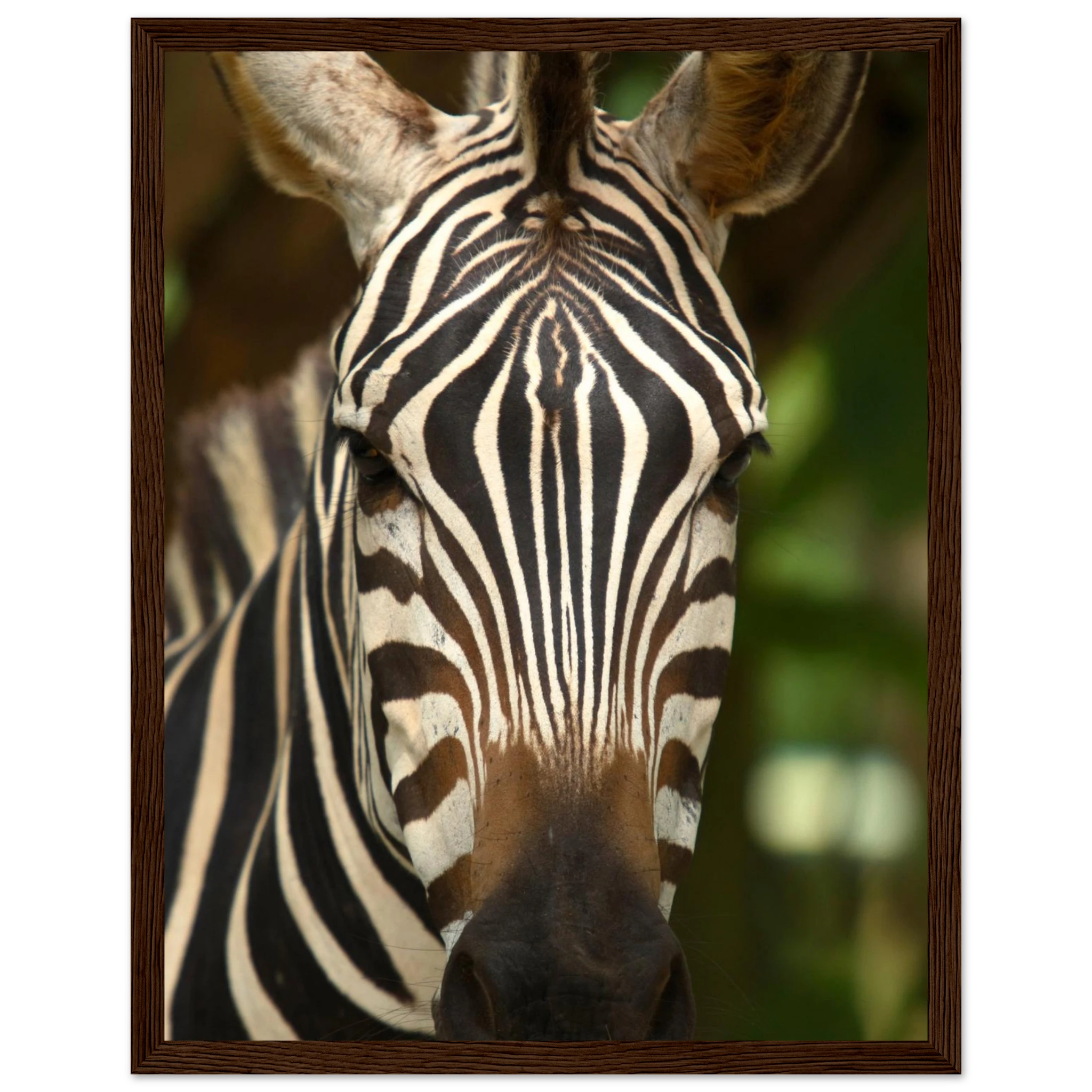 dafba7c5-8cc2-41bf-8068-d4f317325a8a