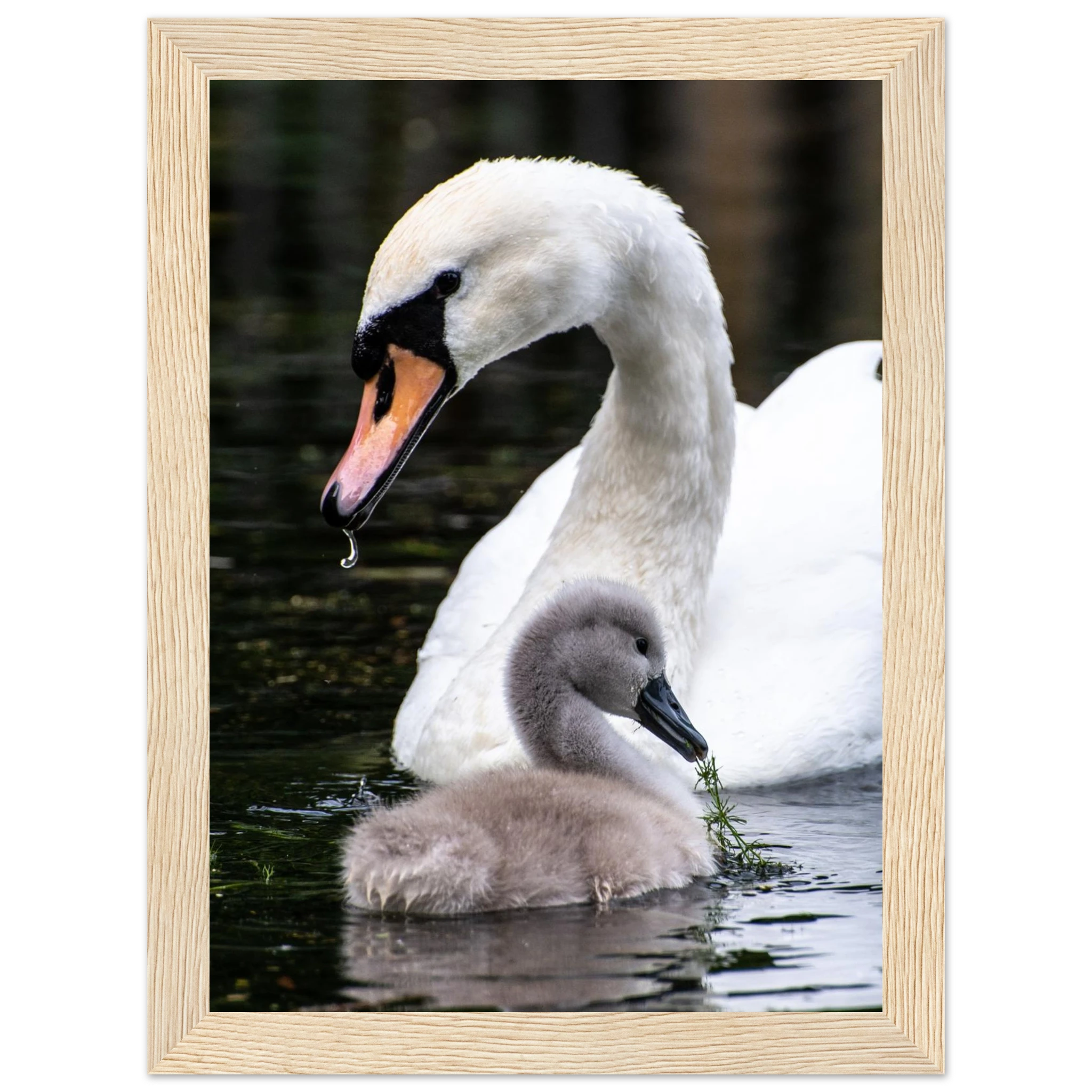 db361259-19e4-4a8f-a48b-e0cd8b17f20d