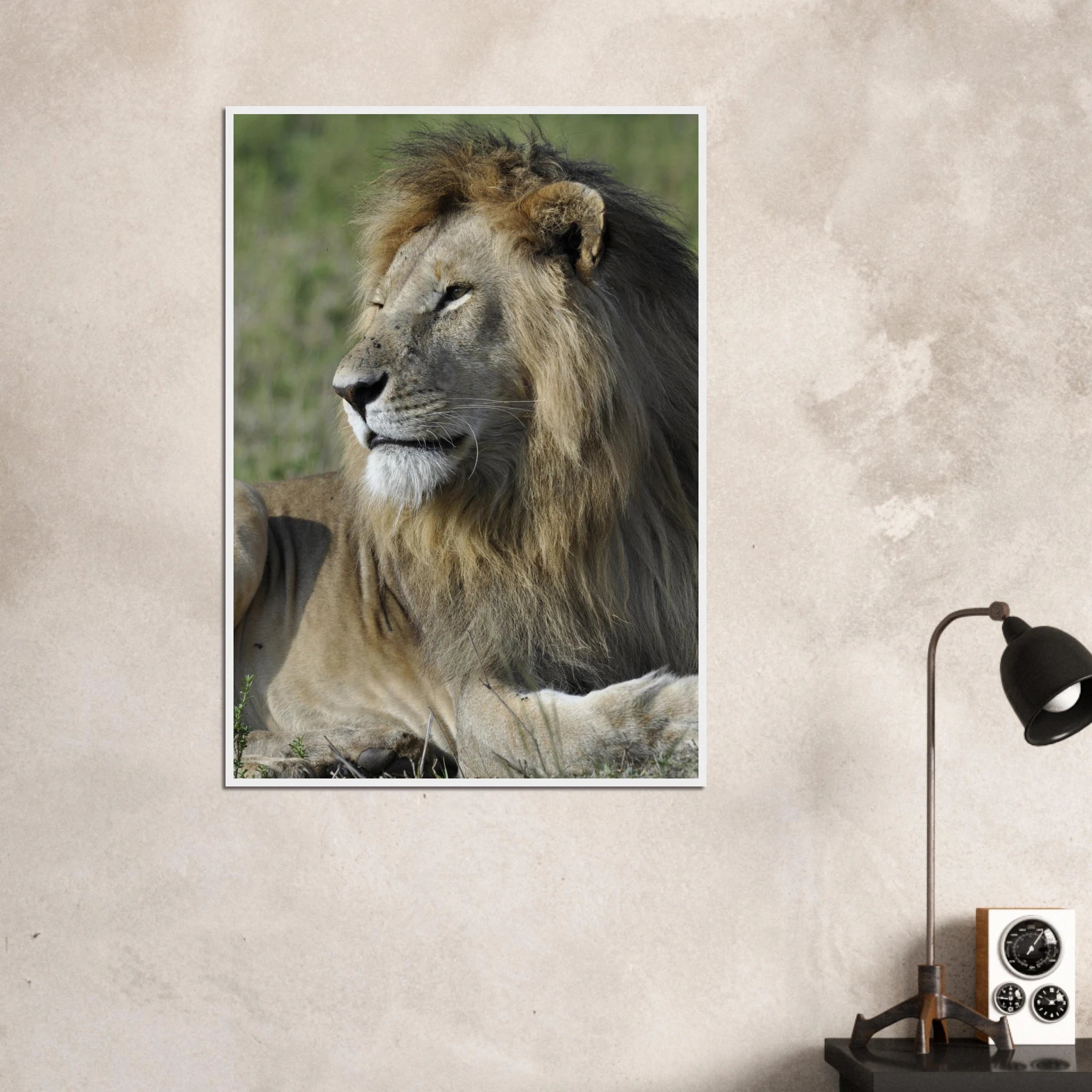 db40a27c-556a-44a2-aa65-2ca33ff953c7