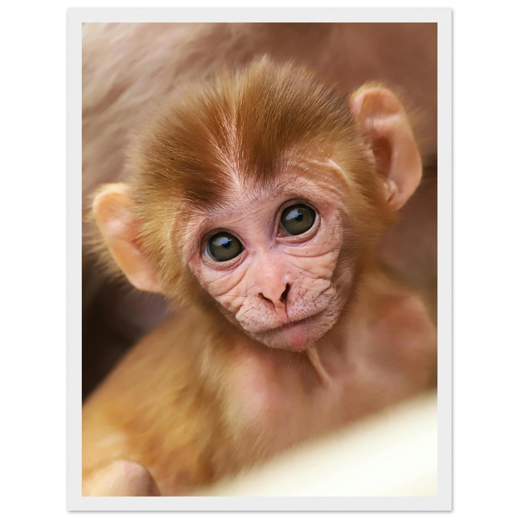 db45e46d-7703-4dce-80e1-b1d77dbeab2c