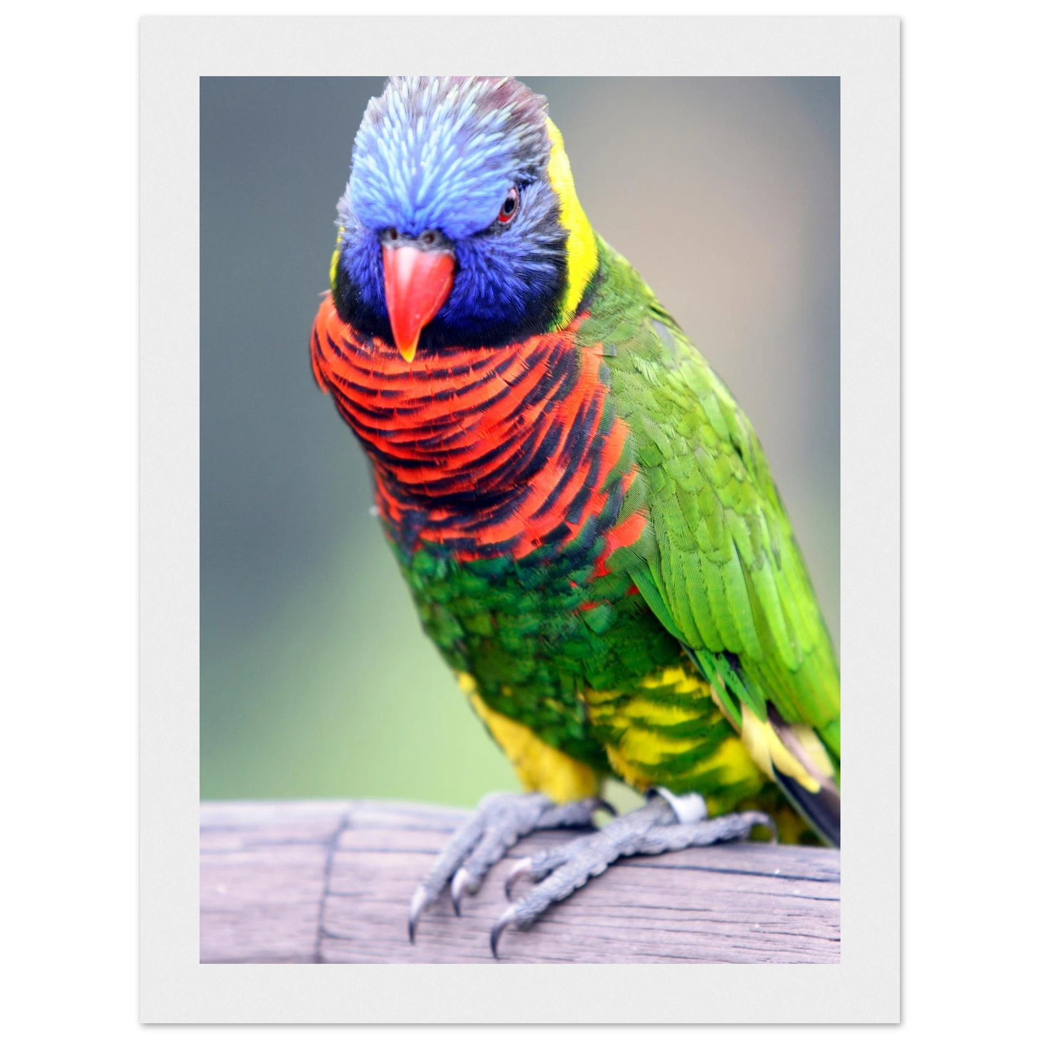 db6a3bbb-633a-4625-9538-d33de12fddee