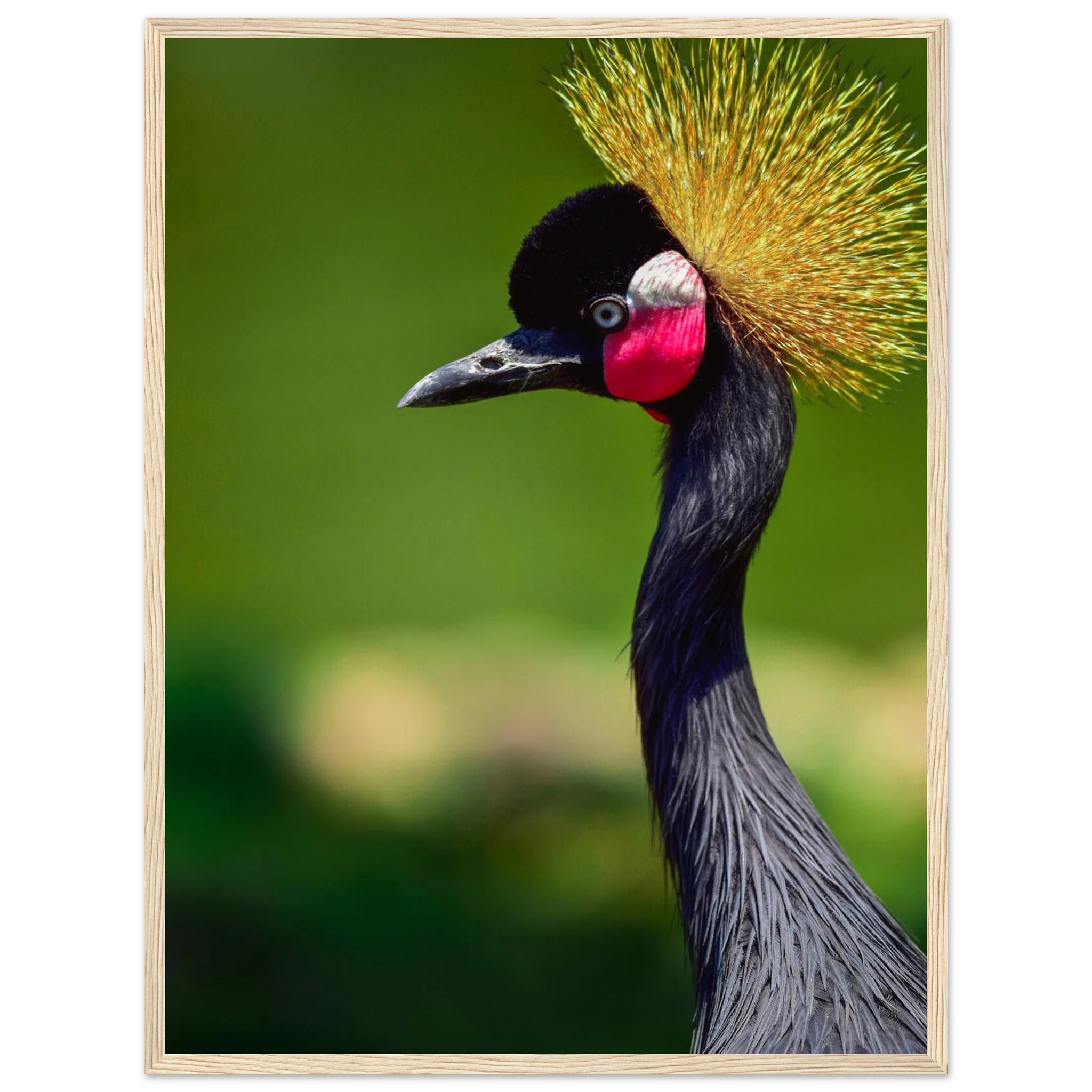 db6c2dbc-1944-4906-a6f8-4f18edfee974