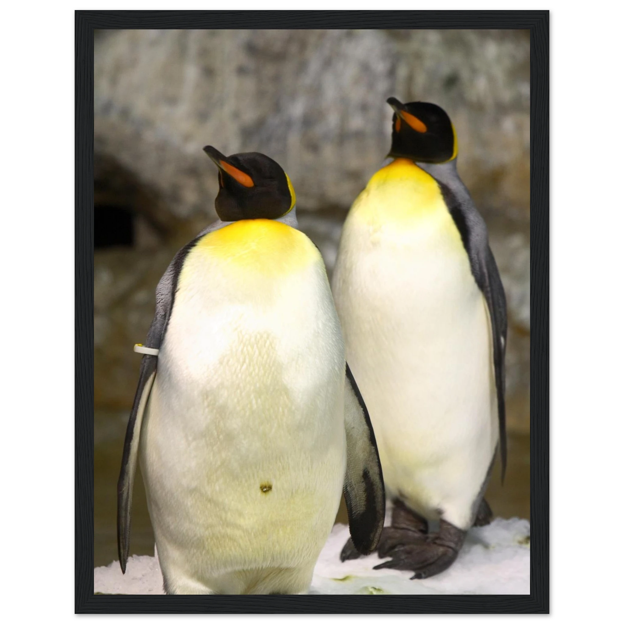 db6f3d8e-a03f-46d1-84af-936a36544054