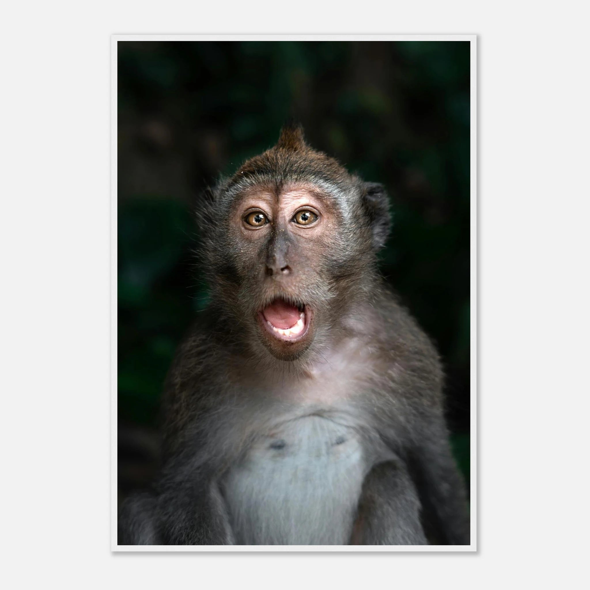 db8001e3-9dfd-4018-9d71-251efa4026ac