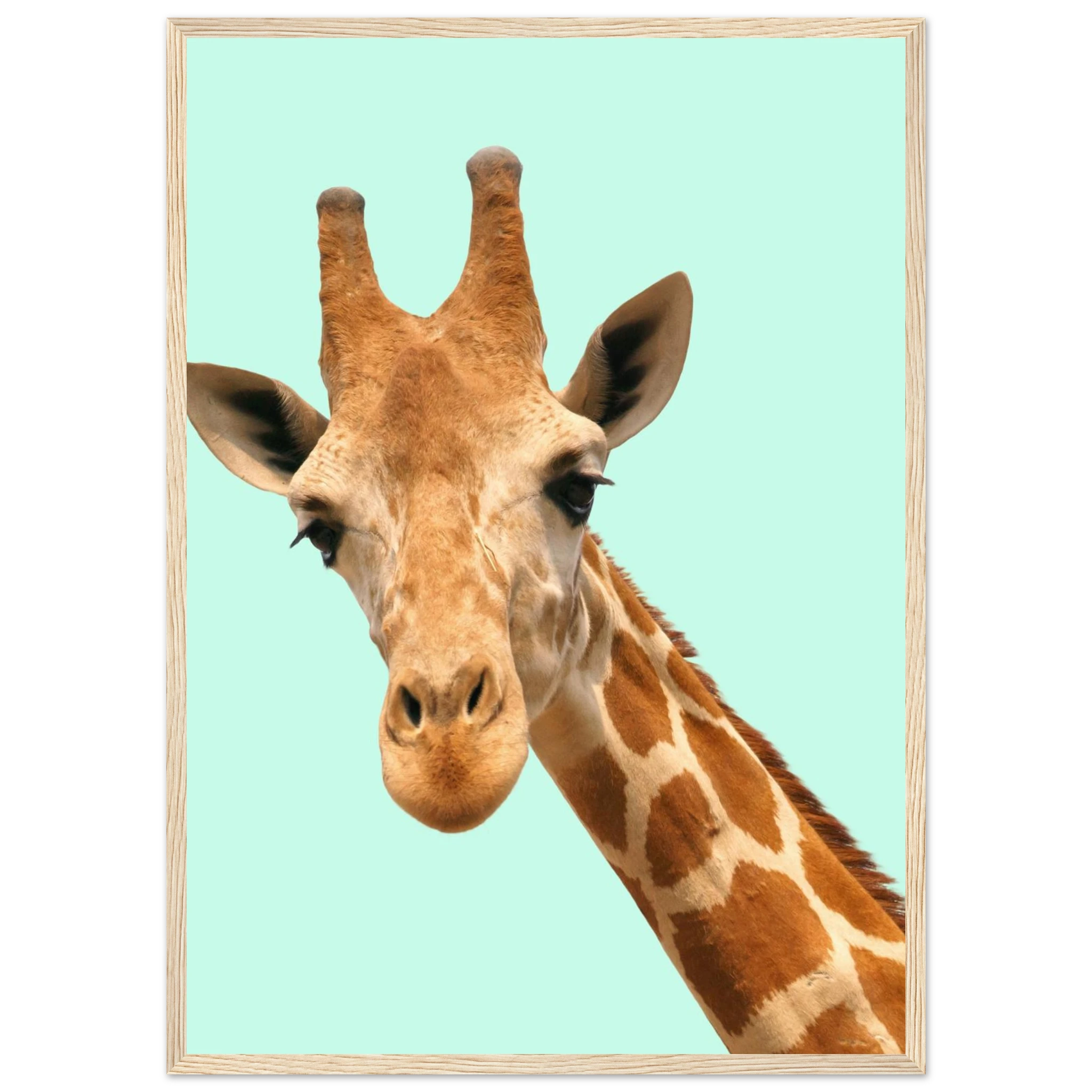 db910269-b2bc-46aa-afaf-67954eae5ccc