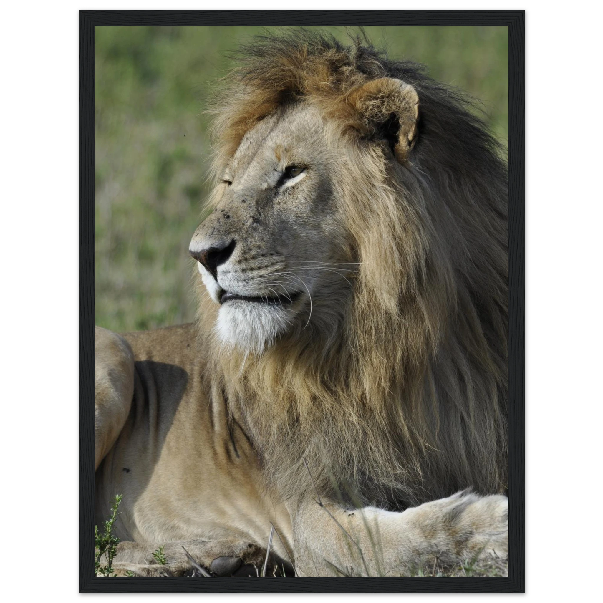 db91b252-c32f-4a7f-9739-fd553c7a4a90