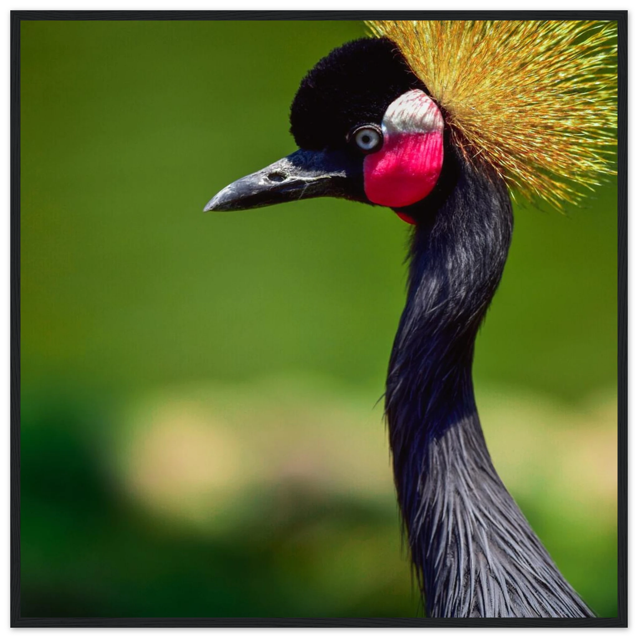 dbbdbbd3-0160-4a21-86c4-d1c403b02d4b