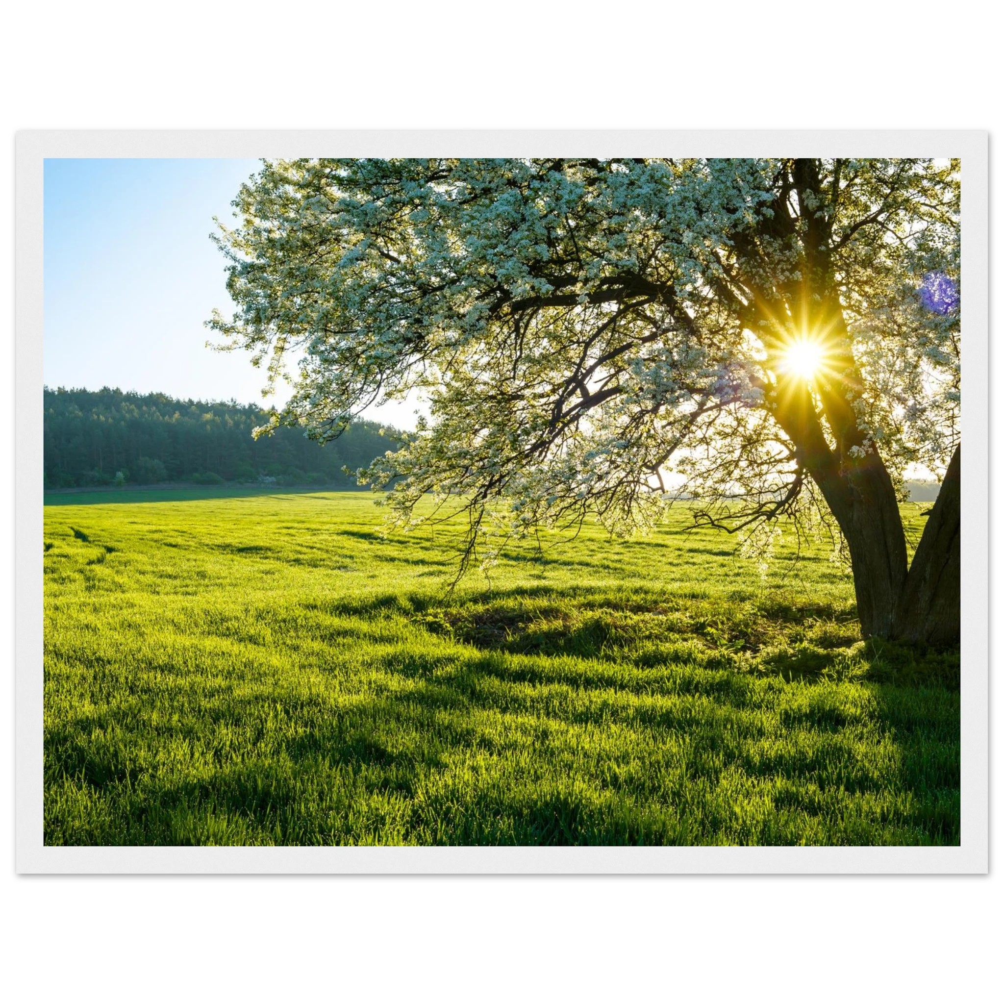 dbbe9e69-2e16-4377-94b1-e3bdb2d3d9cd